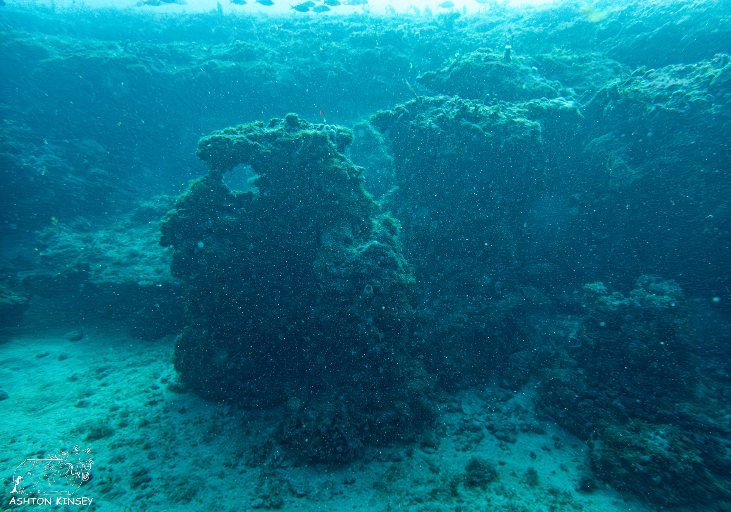 Loggerhead Reef-5.jpg