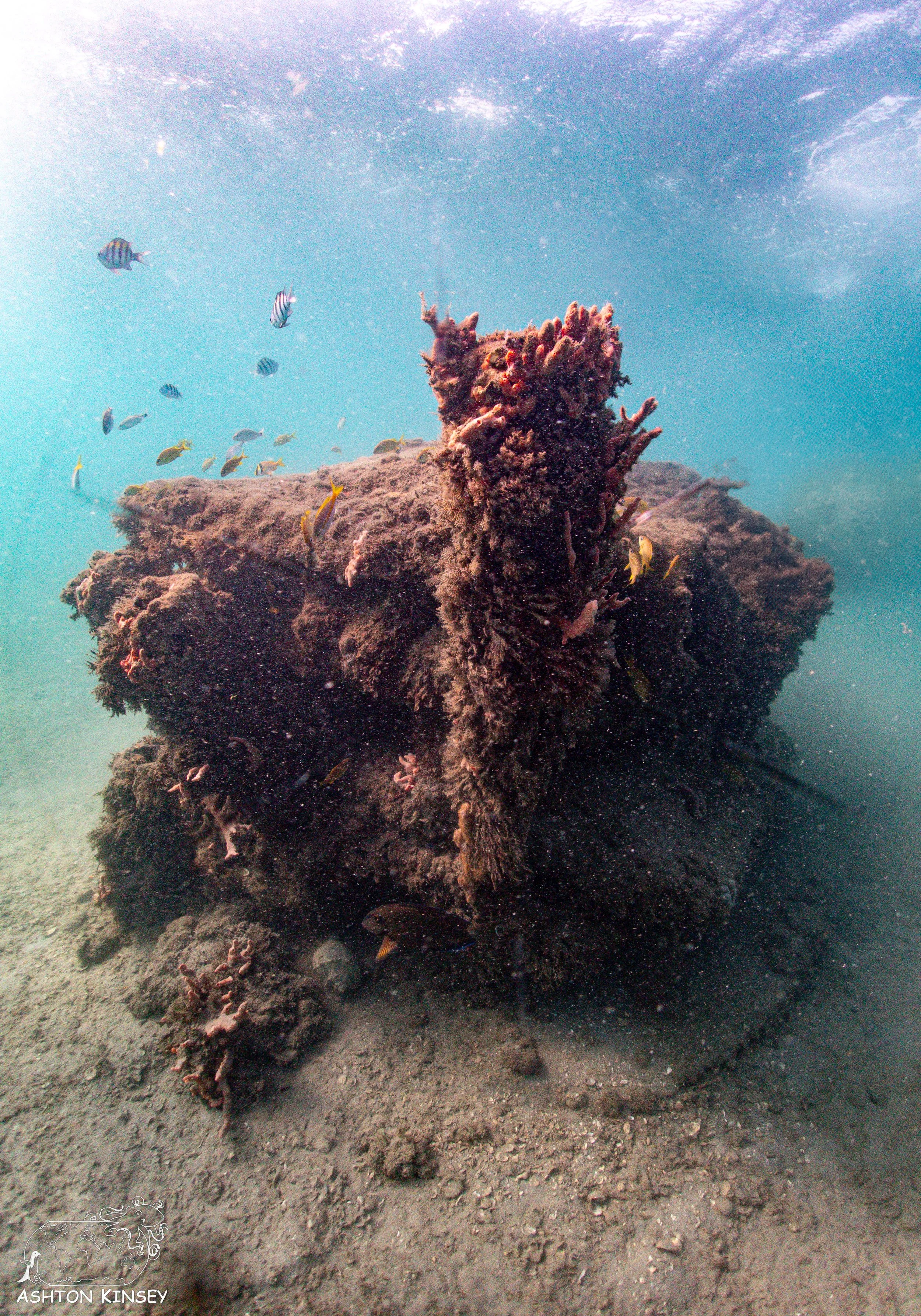 BHB-1.jpg