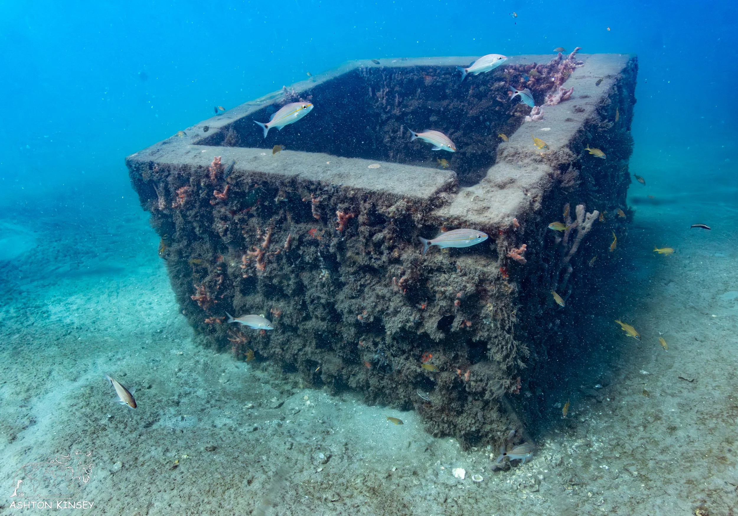 BHB-14.jpg