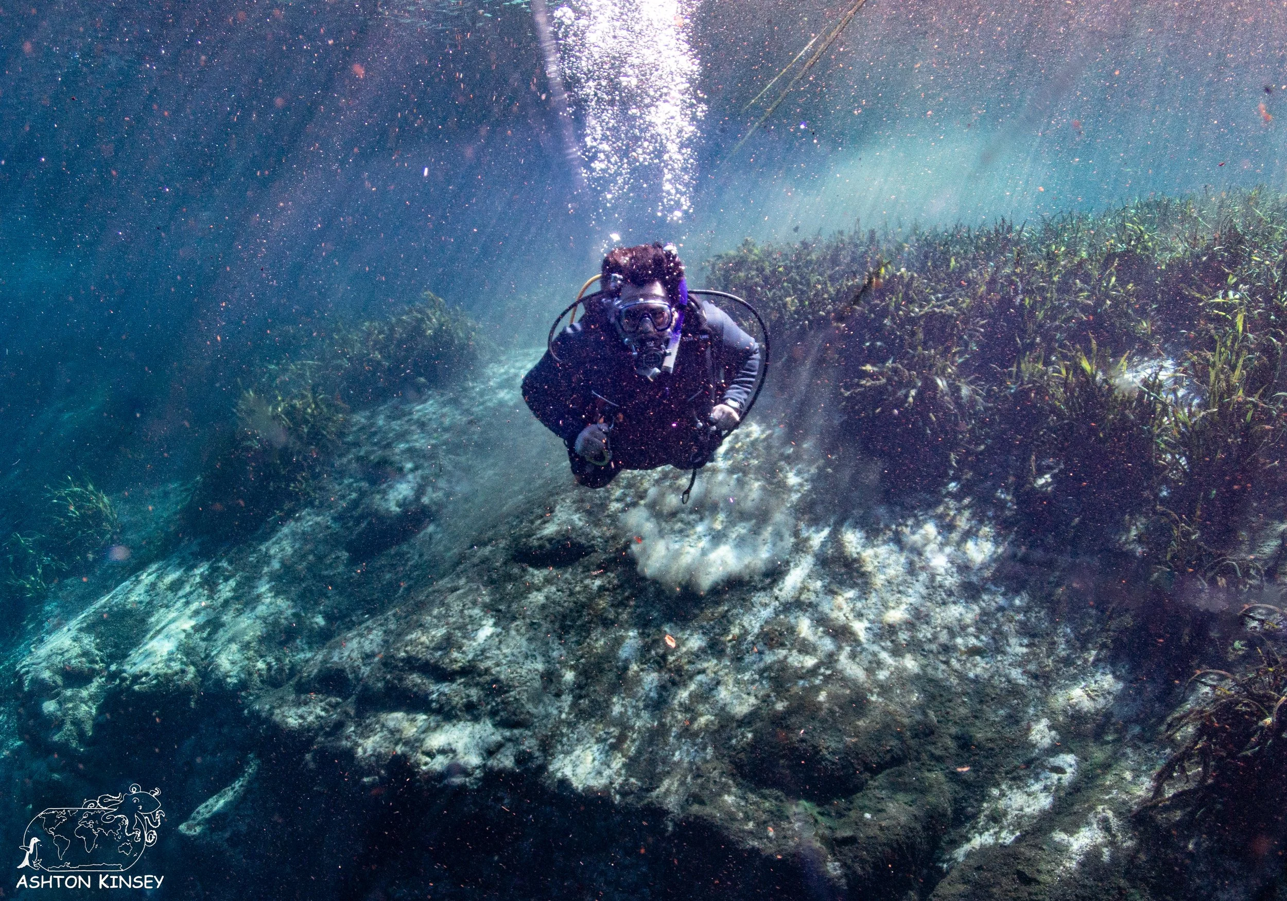 Alexander Springs-20.jpg