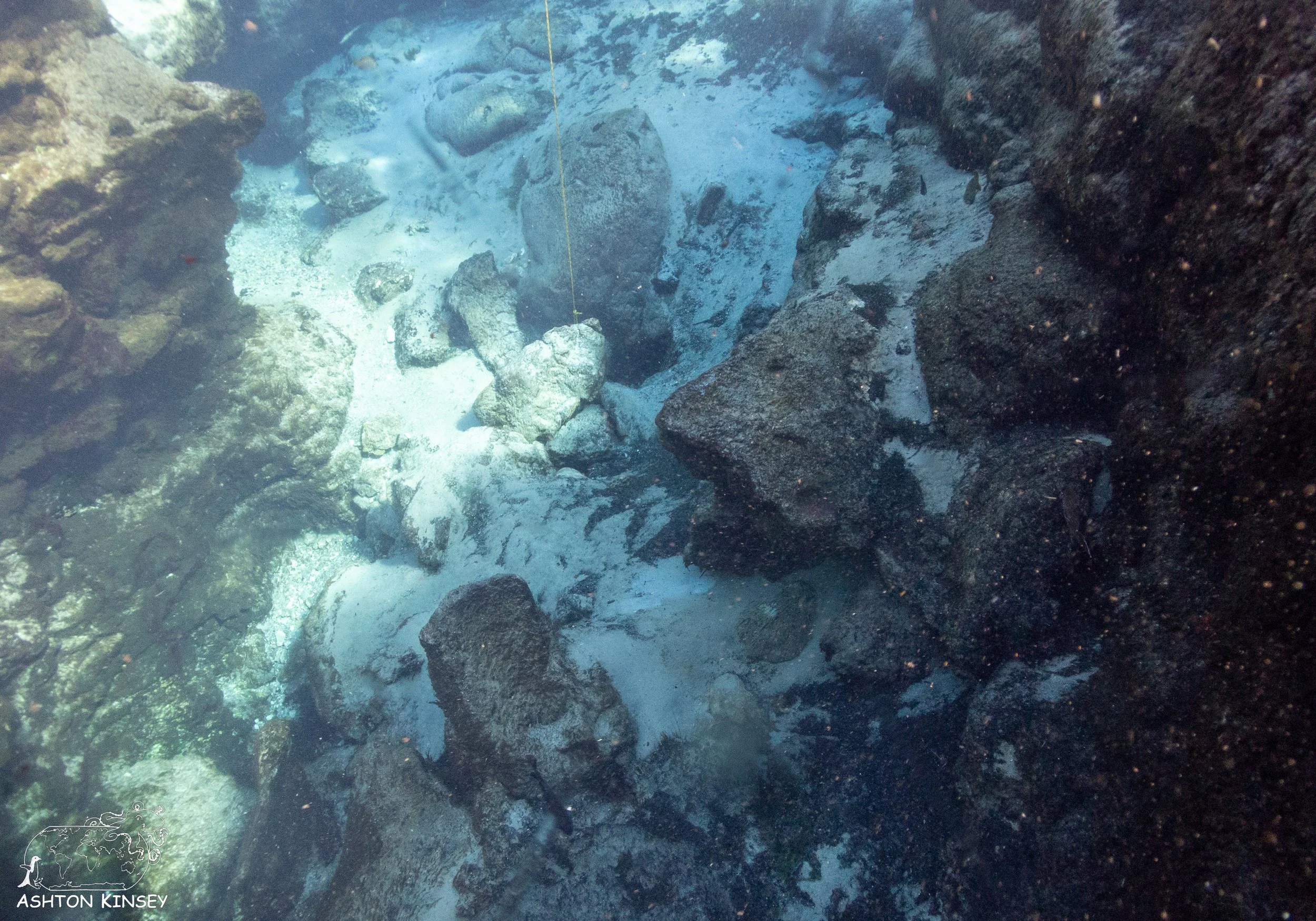 Alexander Springs-1.jpg