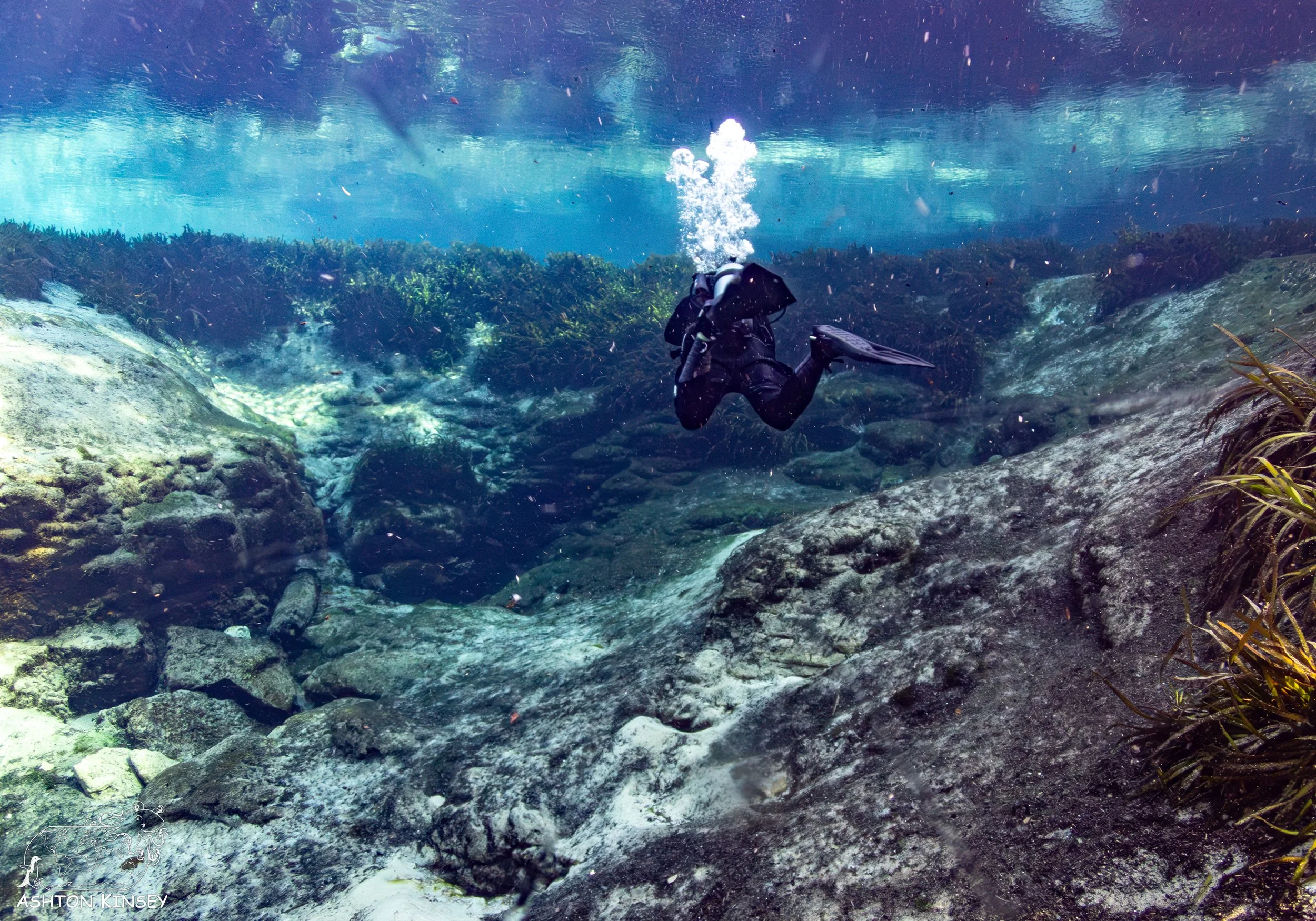 Alexander Springs-2.jpg
