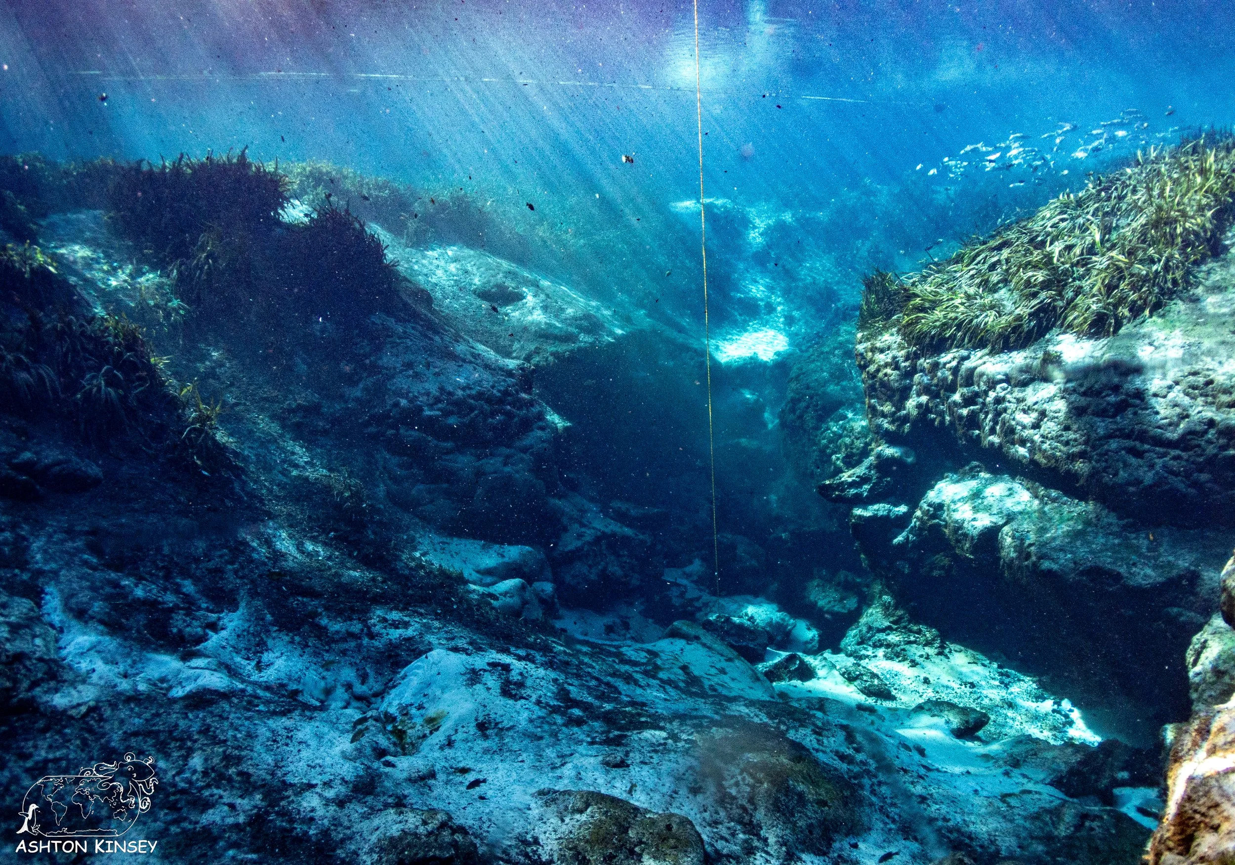 Alexander Springs-5.jpg