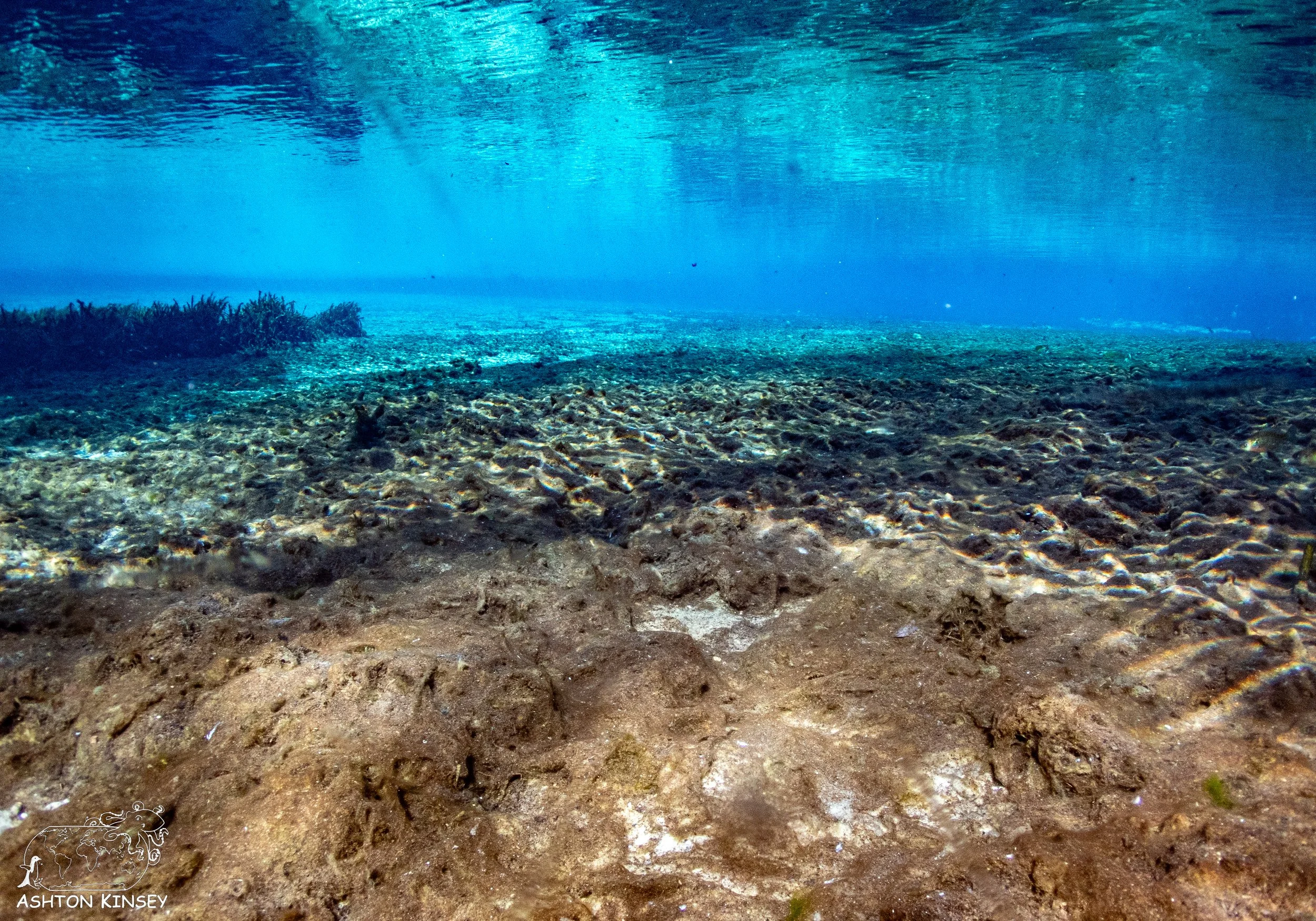 Alexander Springs-7.jpg