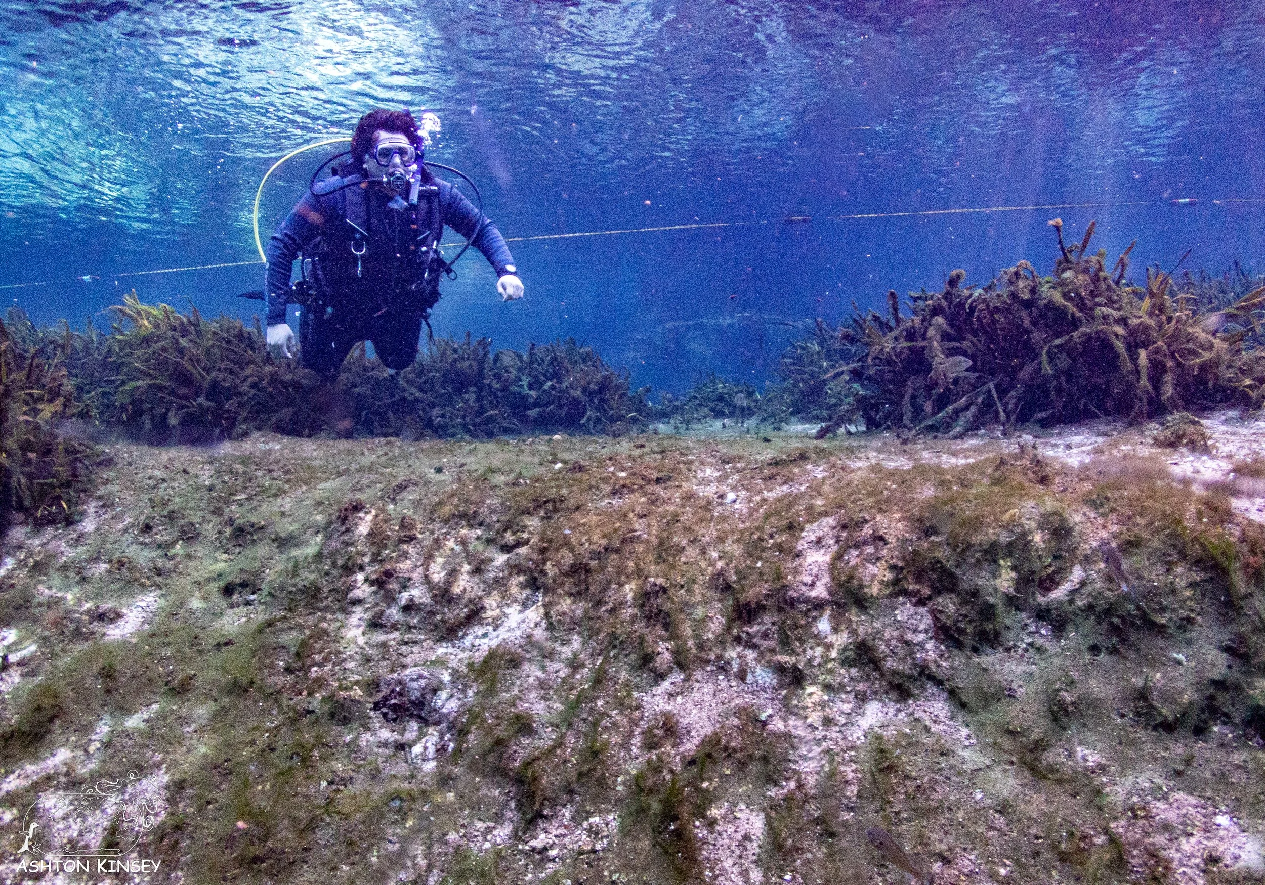Alexander Springs-11.jpg