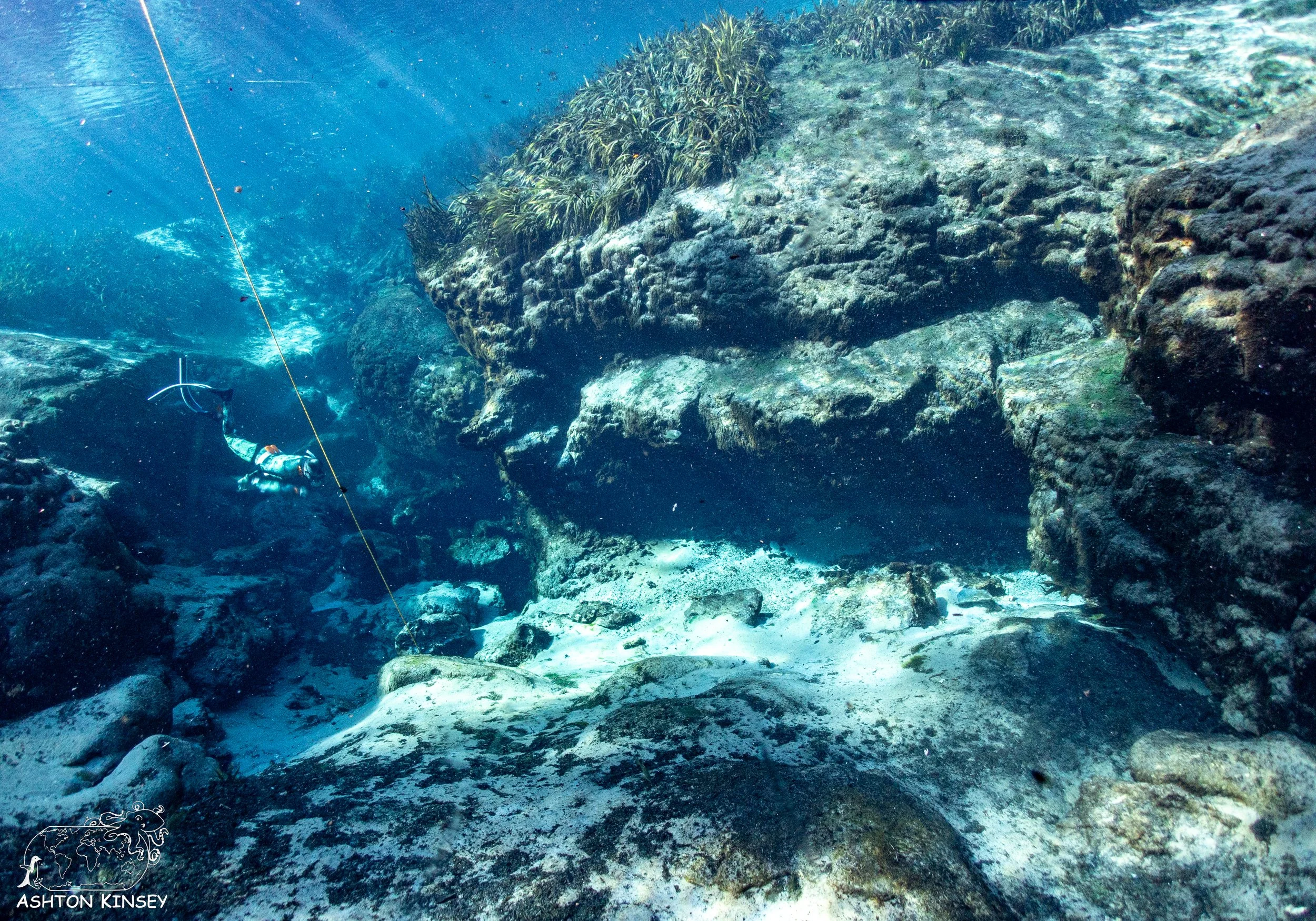 Alexander Springs-13.jpg