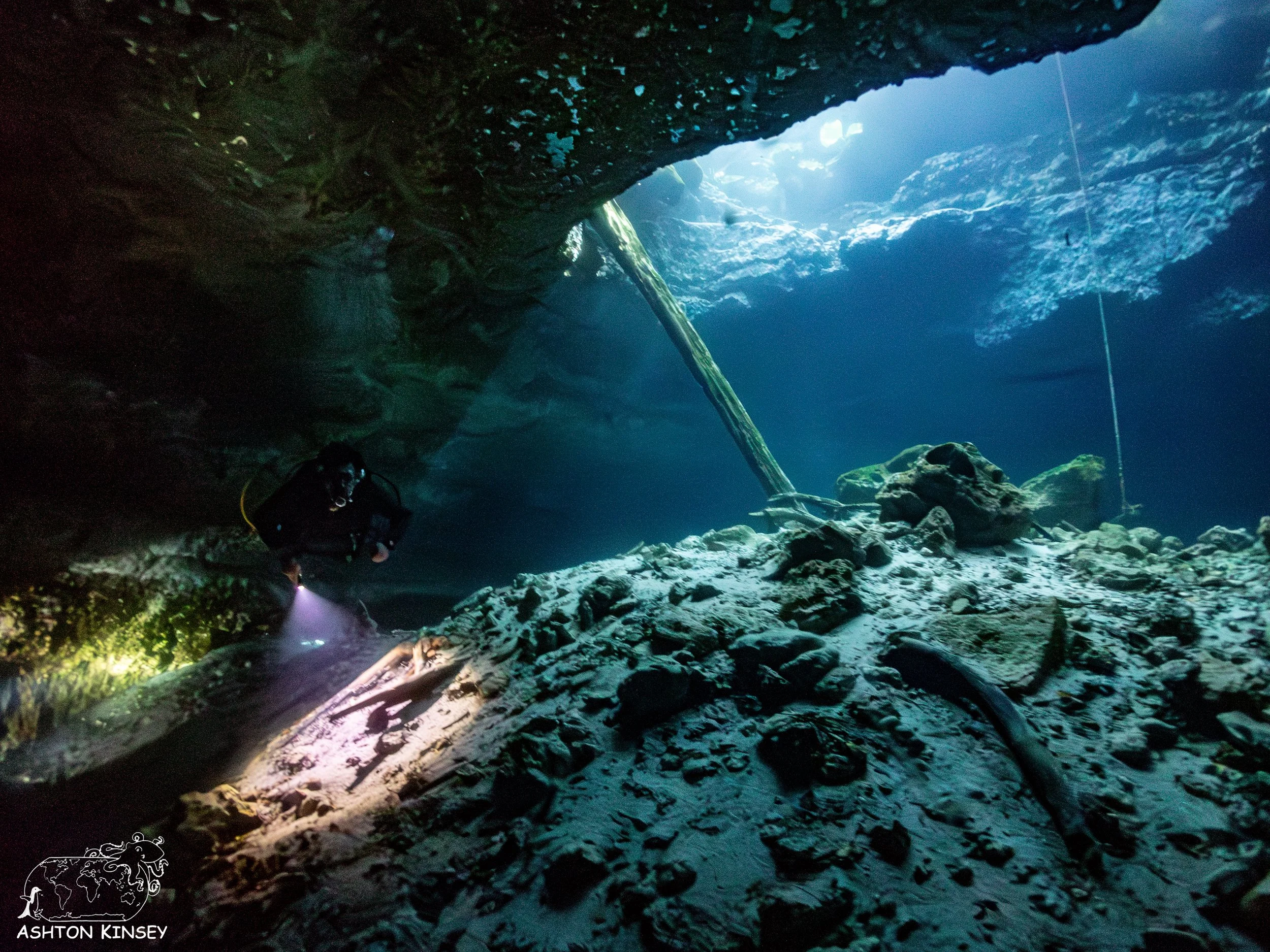 Paradise Springs-1.jpg