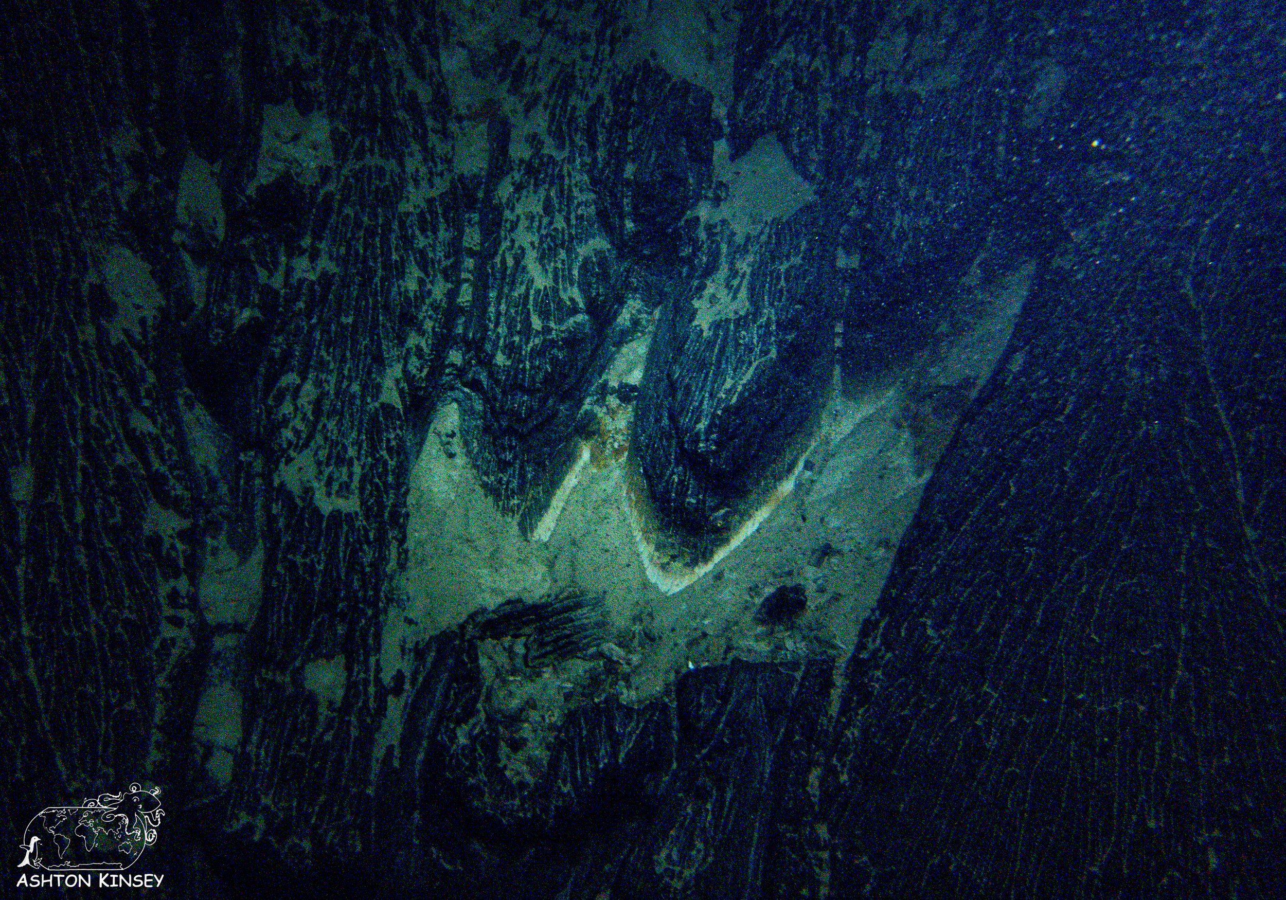 Homestead Crater-5.jpg