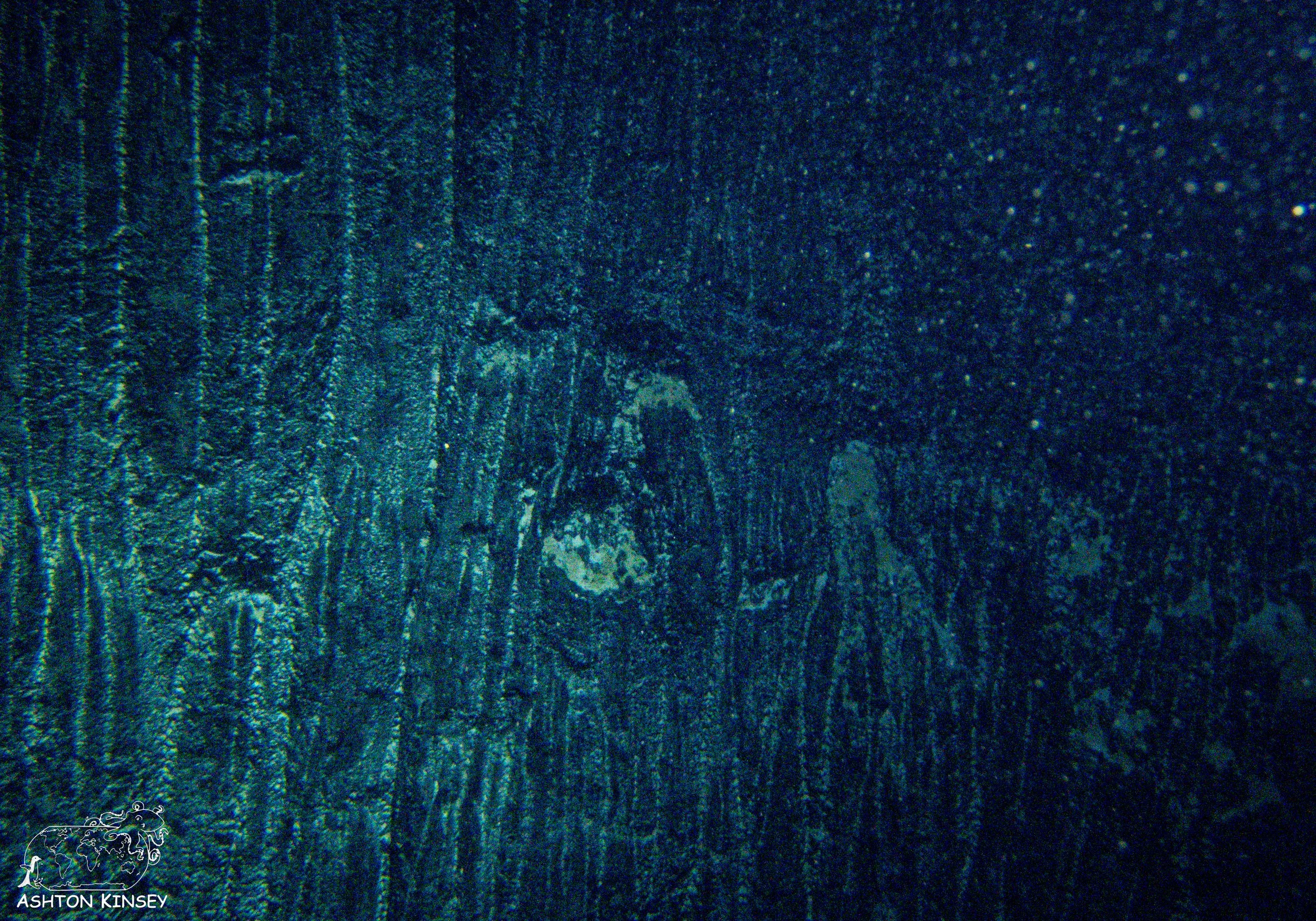 Homestead Crater-16.jpg