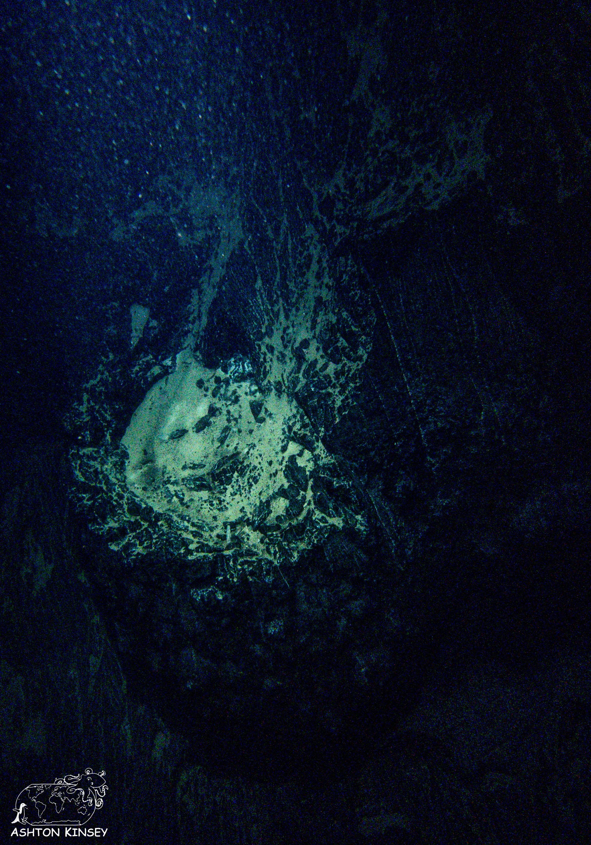 Homestead Crater-17.jpg