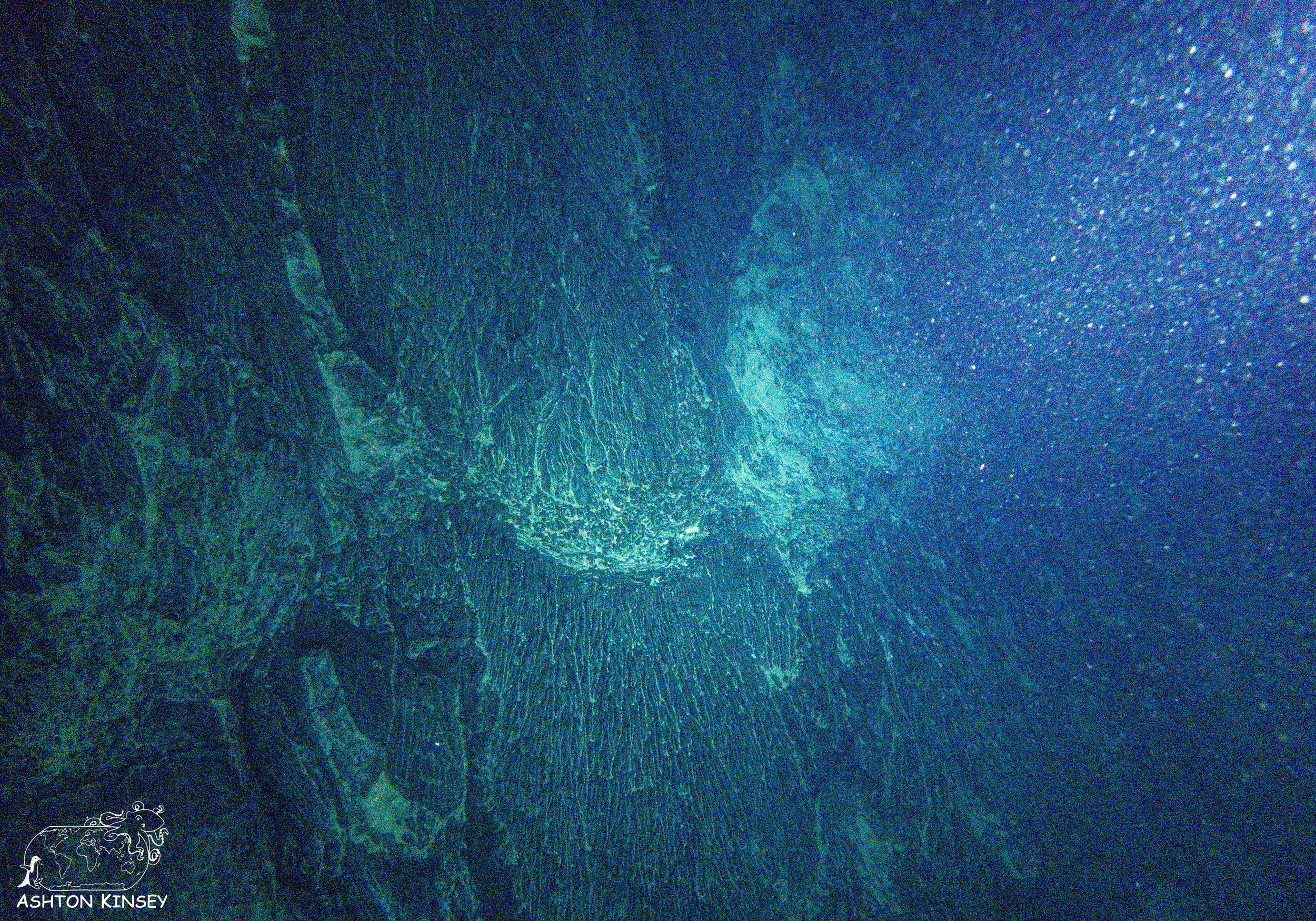 Homestead Crater-4.jpg