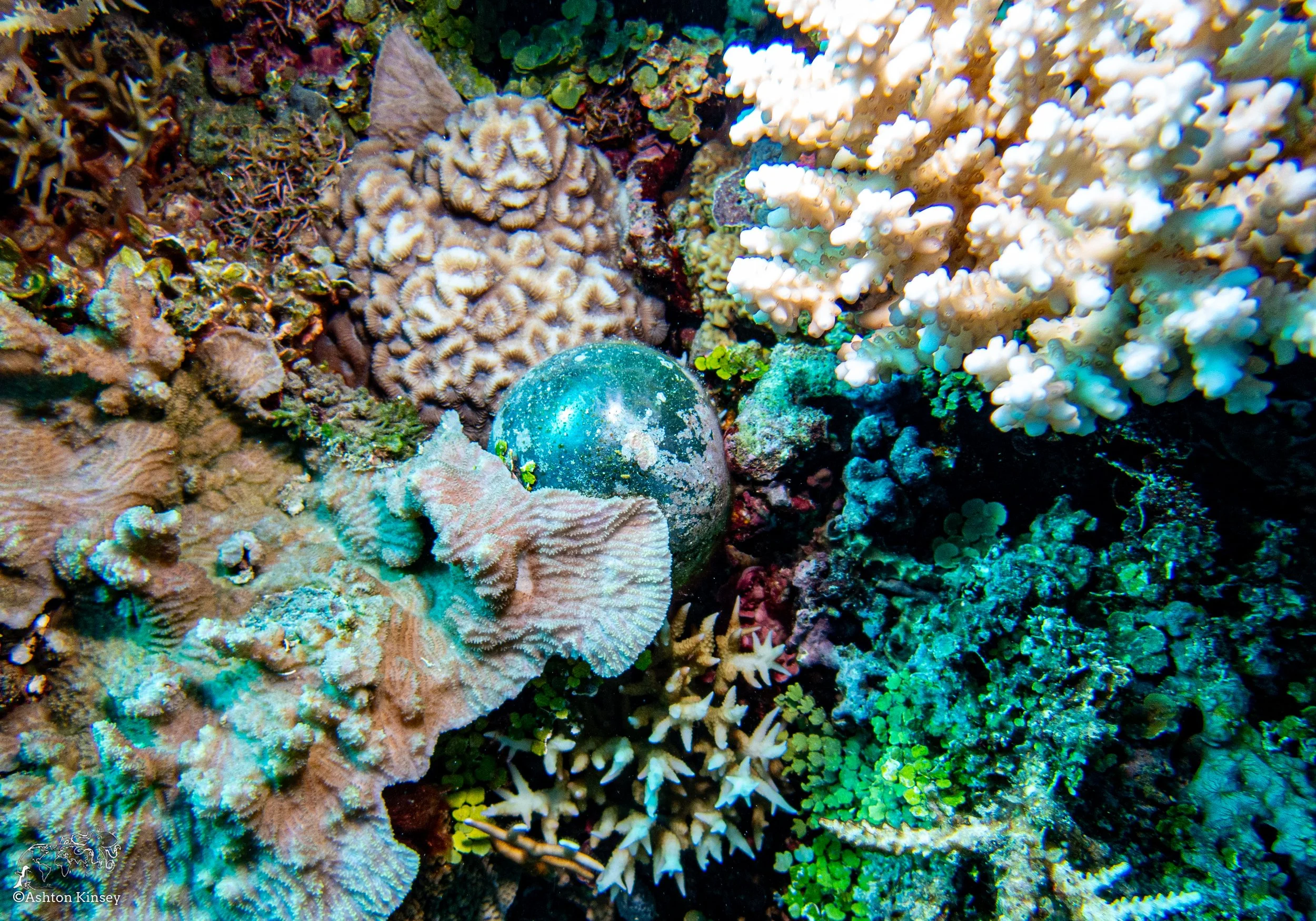 Double Reef-14.jpg