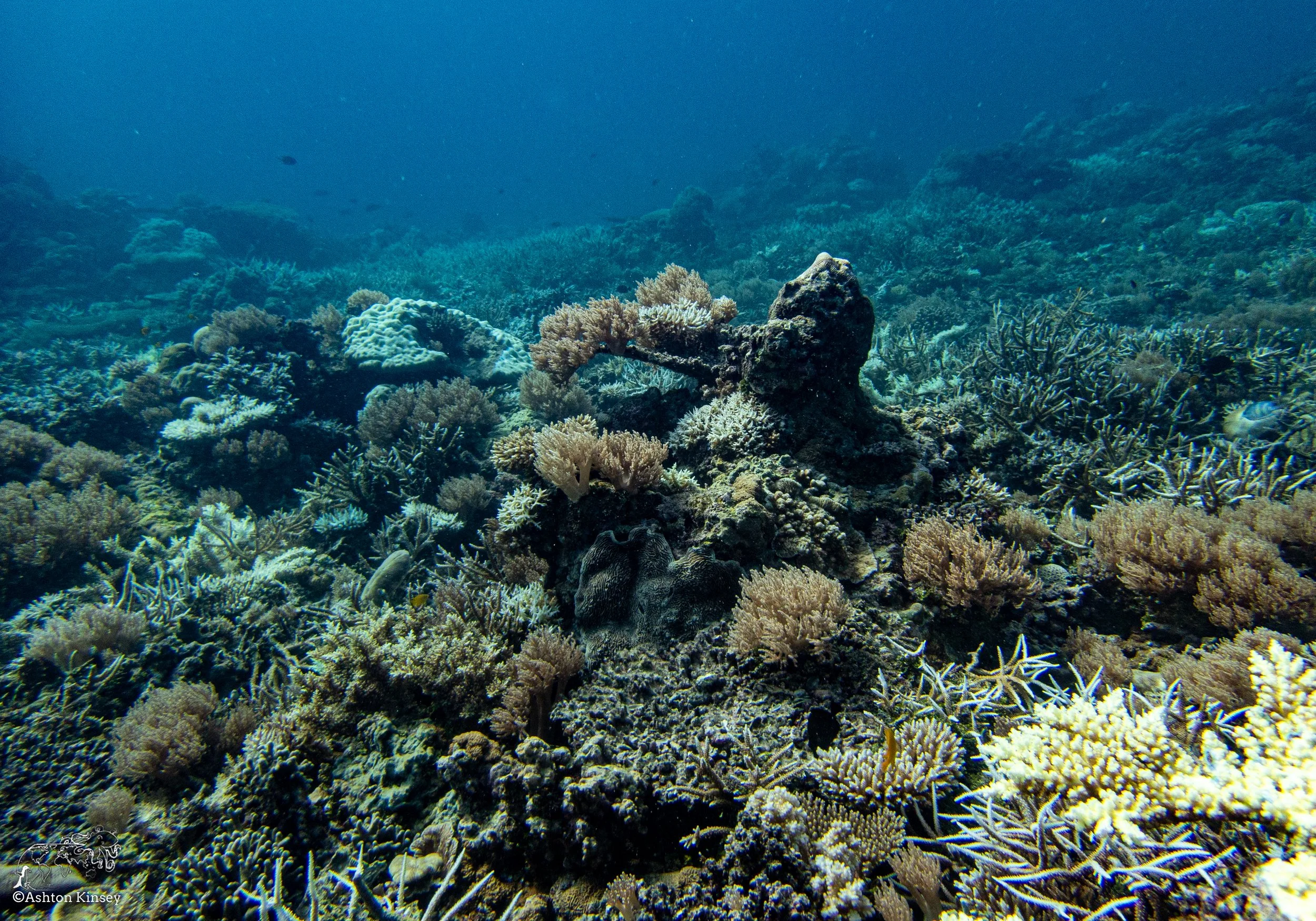 Double Reef-13.jpg