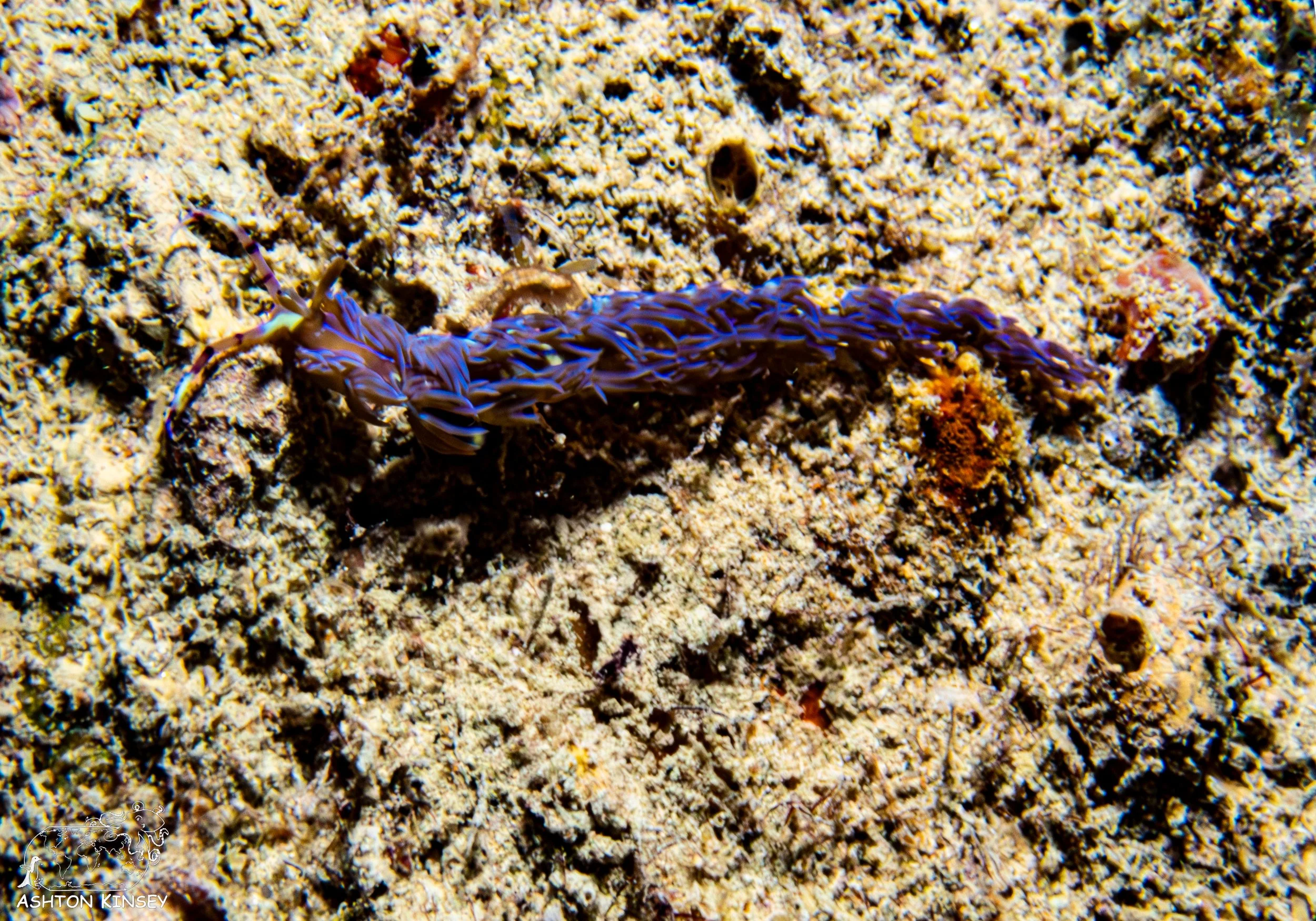 Haf Adai Wreck-8.jpg