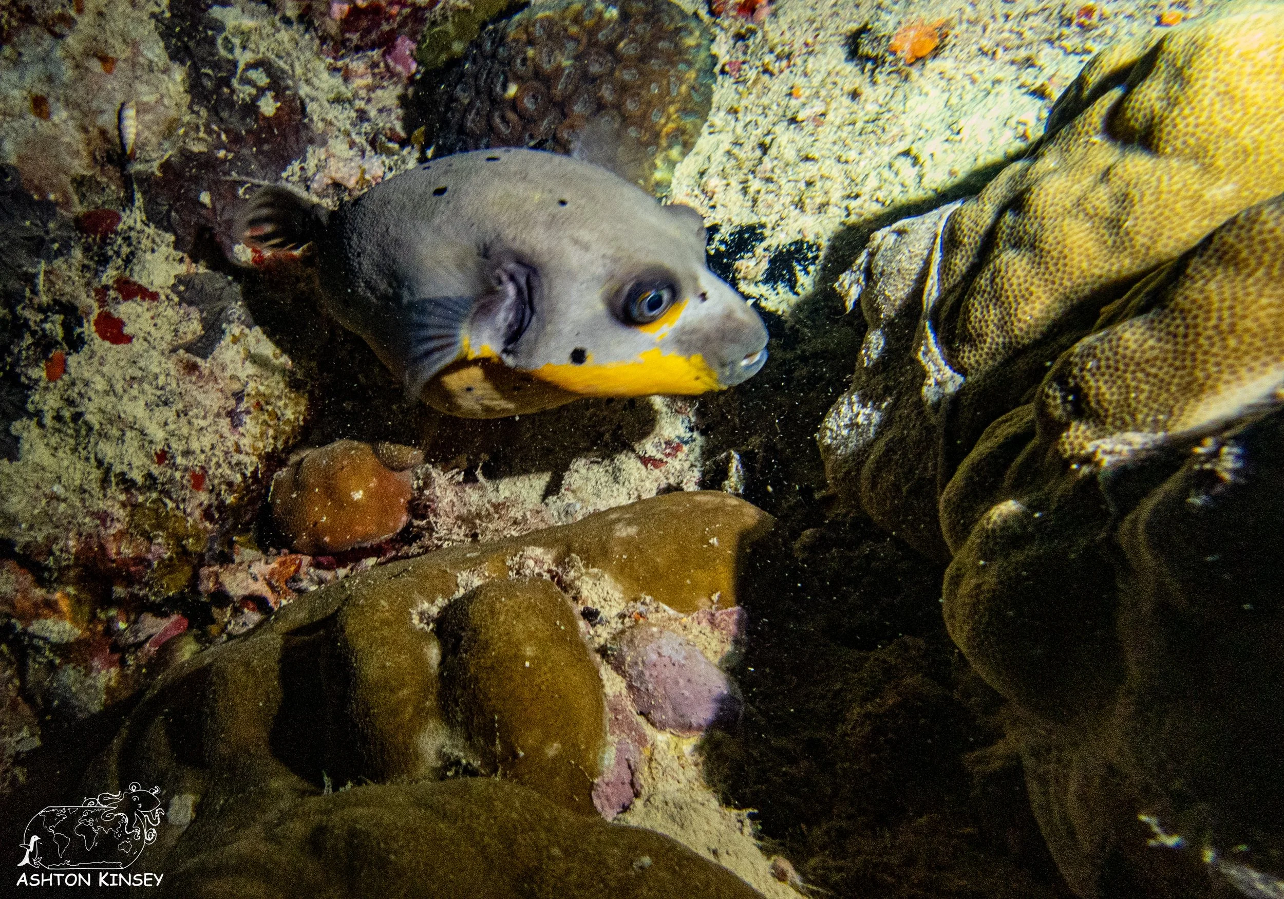 Haf Adai Wreck-7.jpg