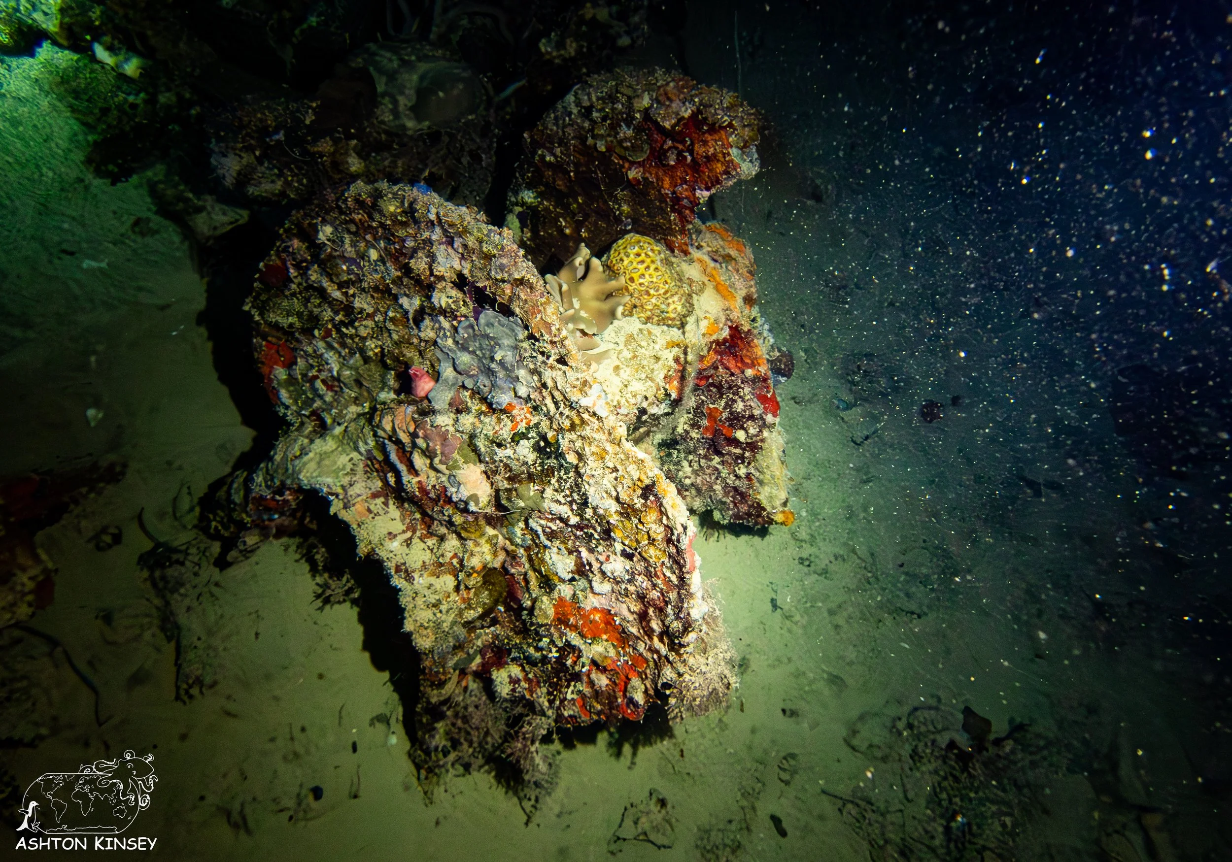 Haf Adai Wreck-13.jpg