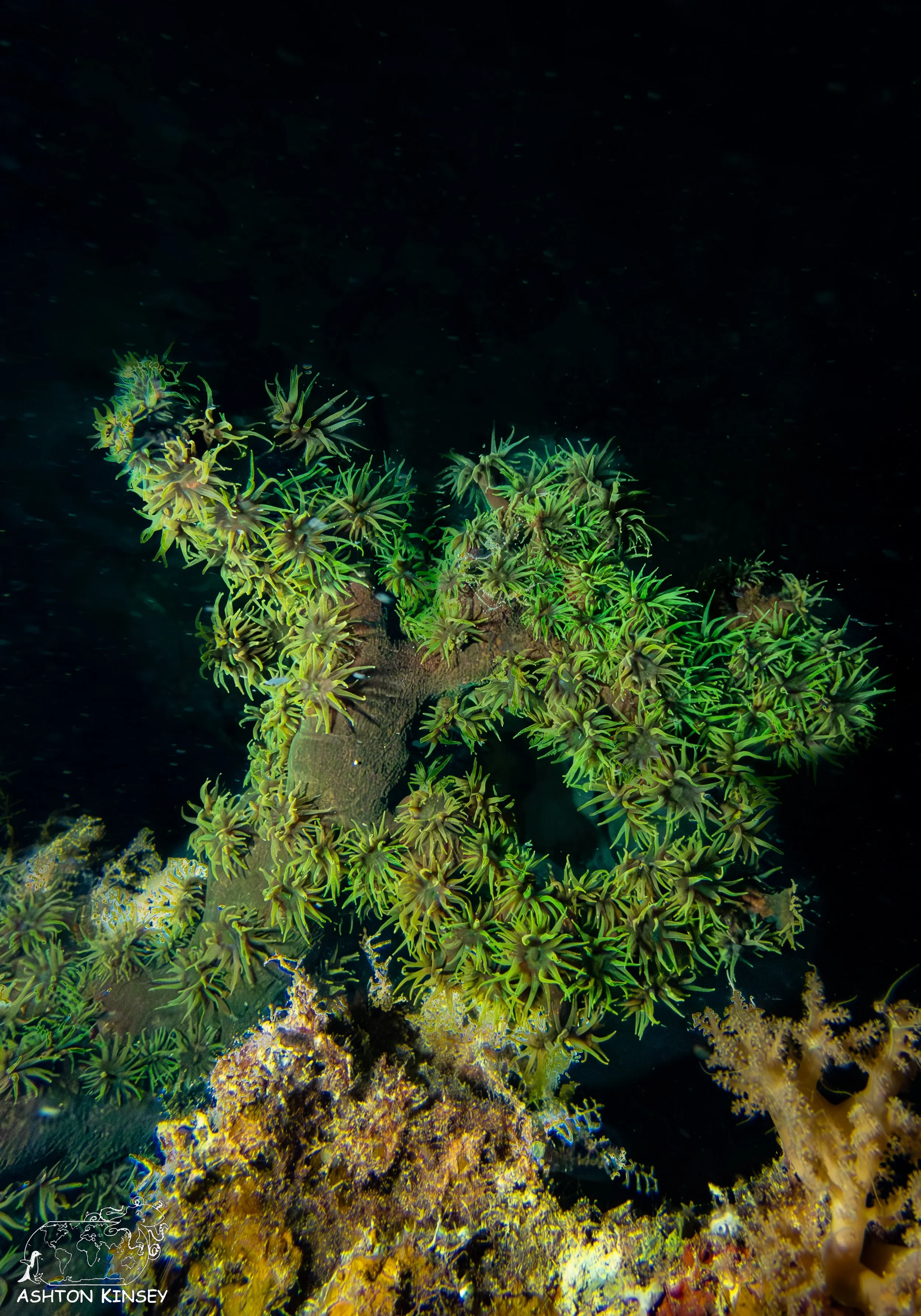 Haf Adai Wreck-14.jpg