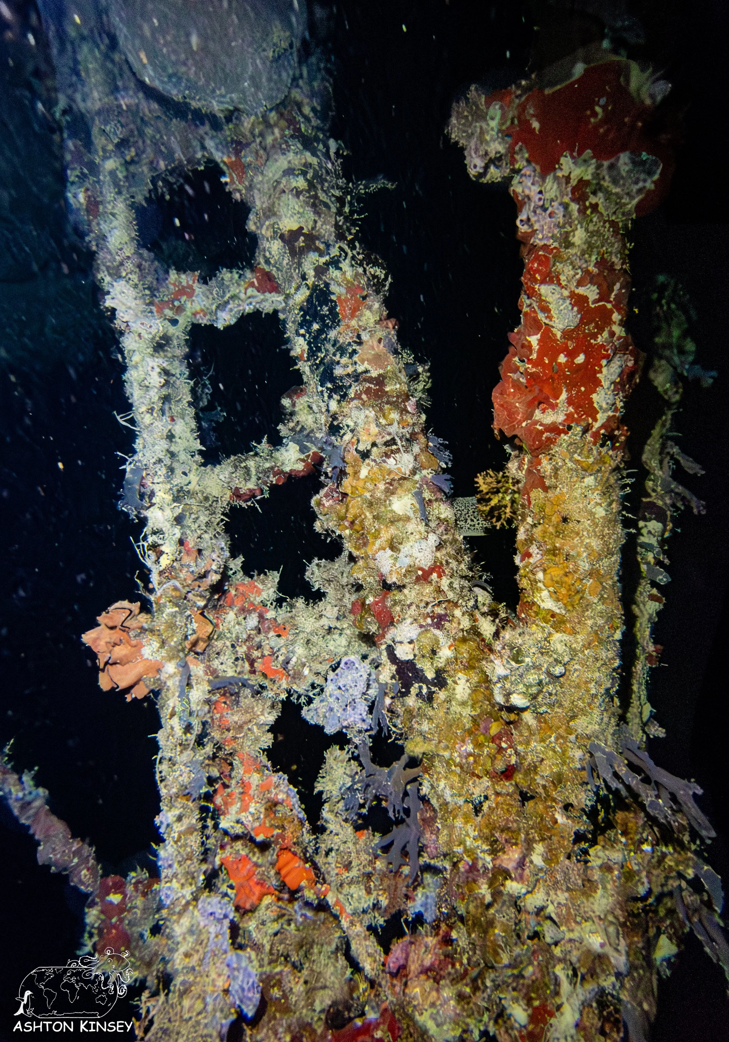 Haf Adai Wreck-17.jpg