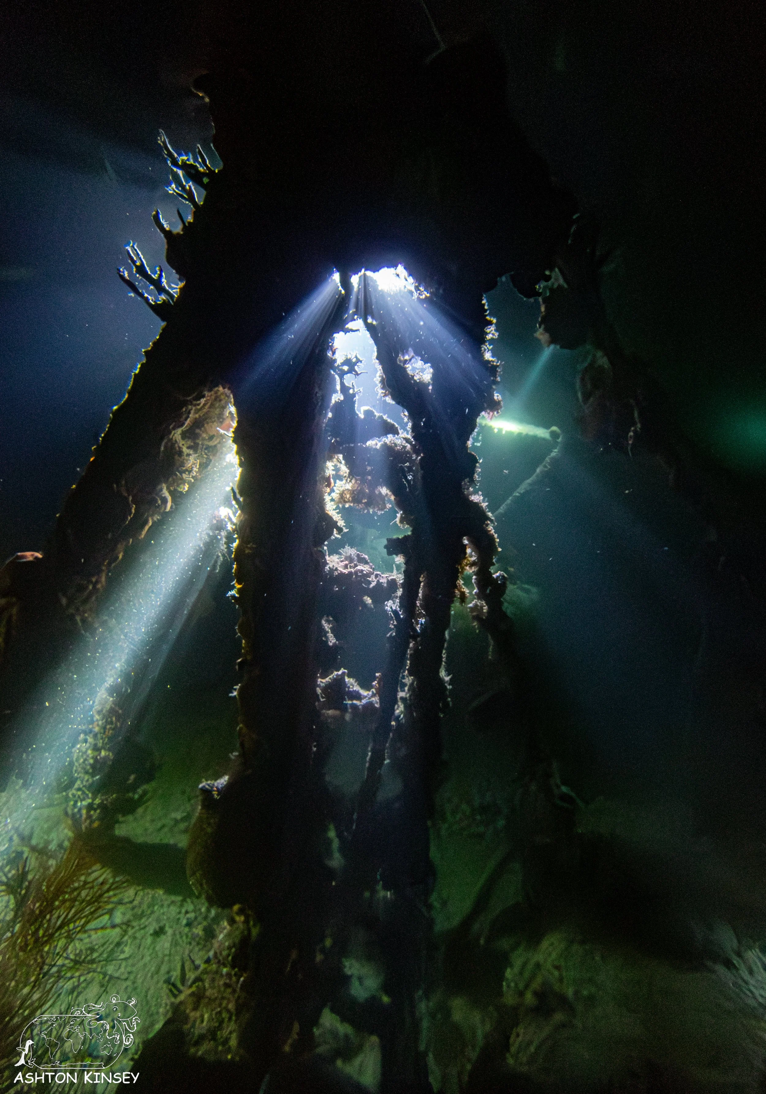 Haf Adai Wreck-19.jpg