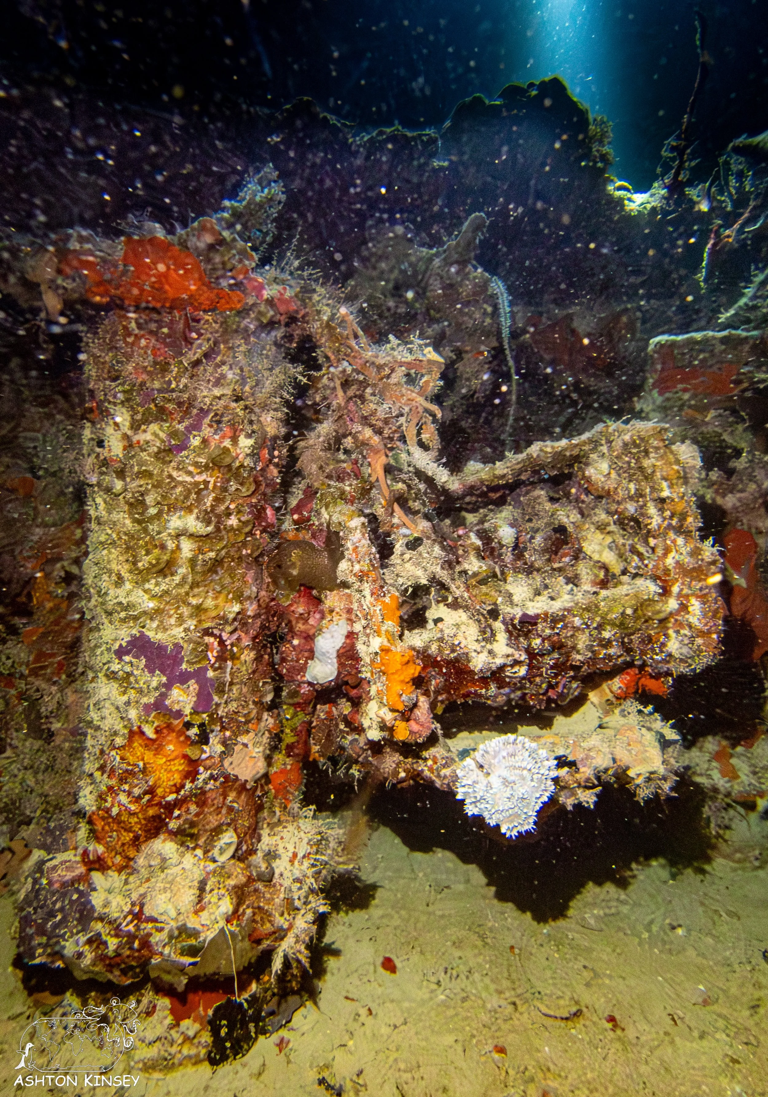 Haf Adai Wreck-18.jpg