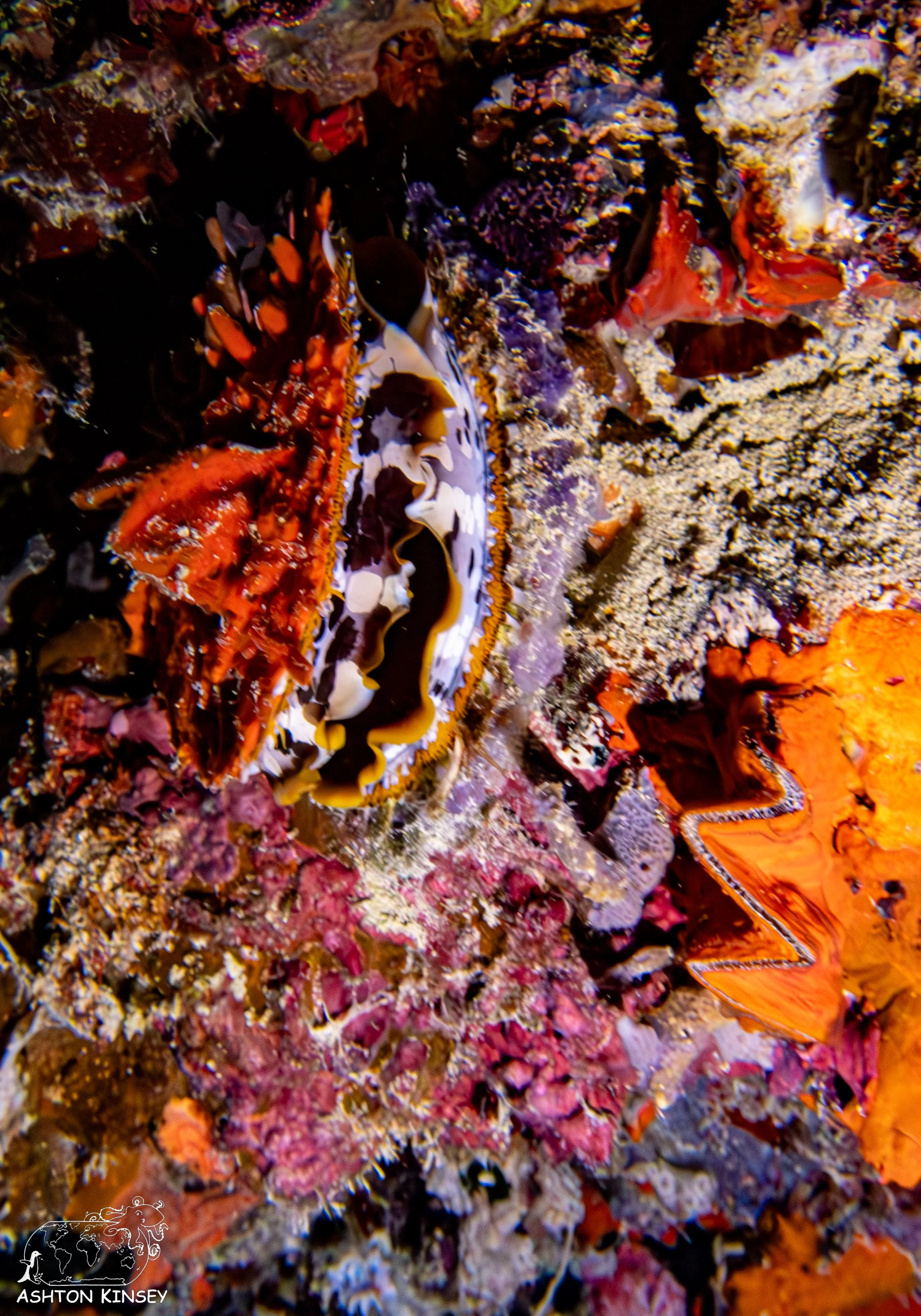 Haf Adai Wreck-2.jpg