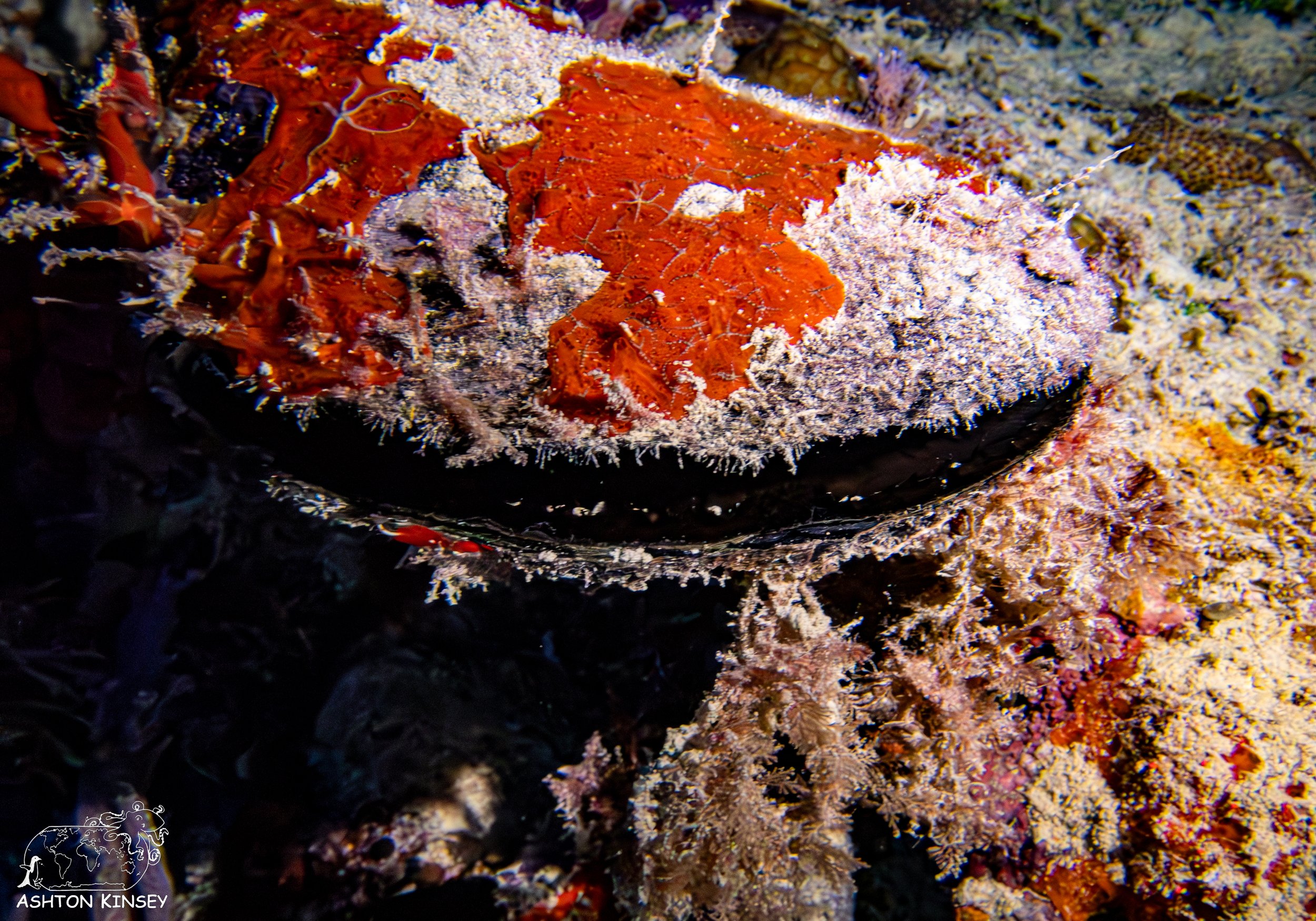 Haf Adai Wreck-1.jpg