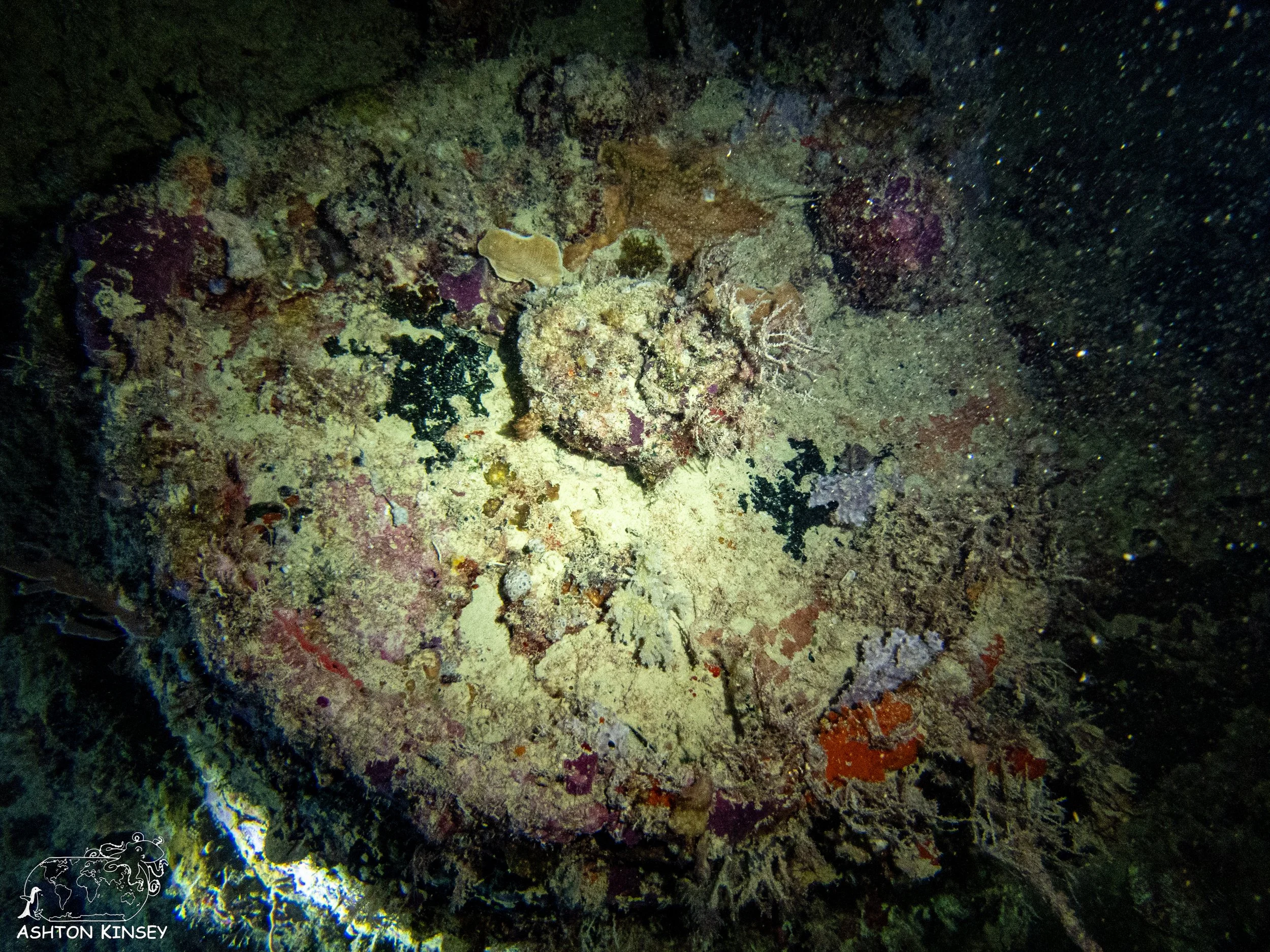 Haf Adai Wreck-5.jpg
