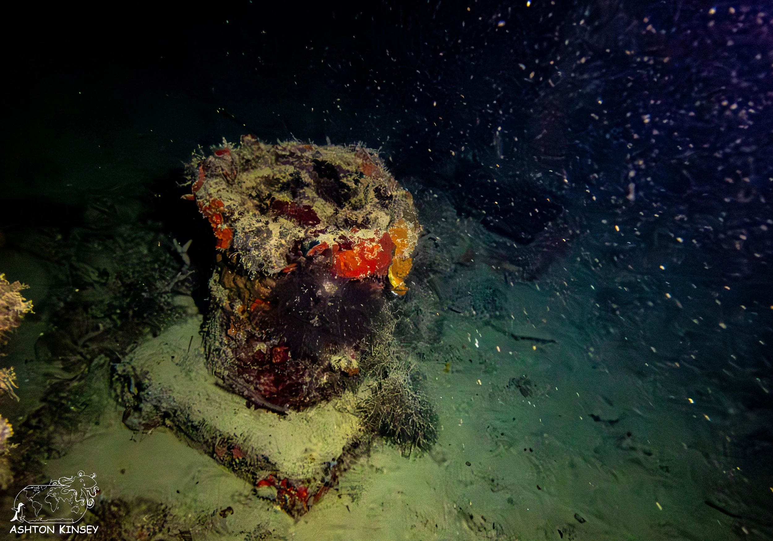 Haf Adai Wreck-6.jpg