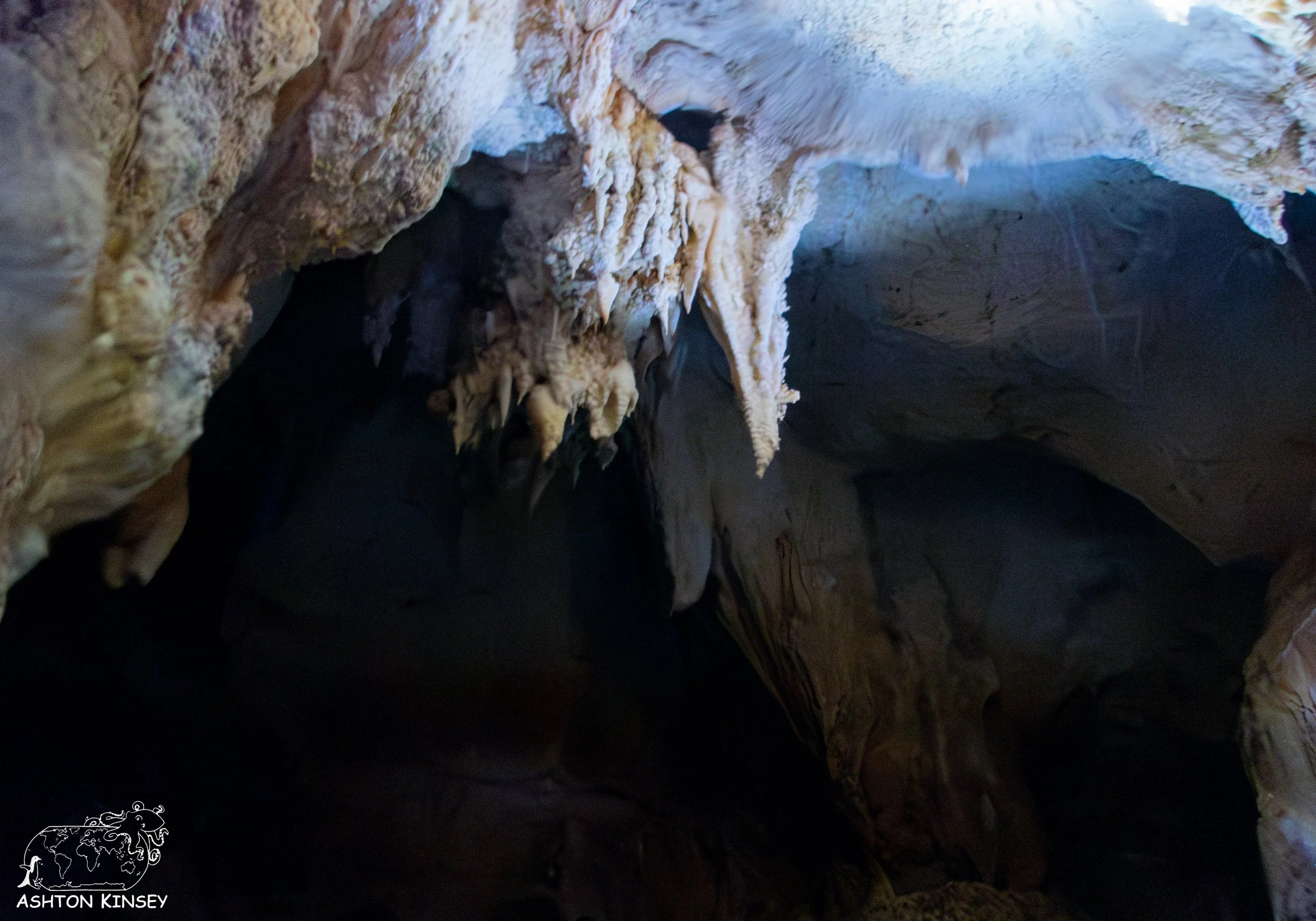 Chandelier Cave-4.jpg