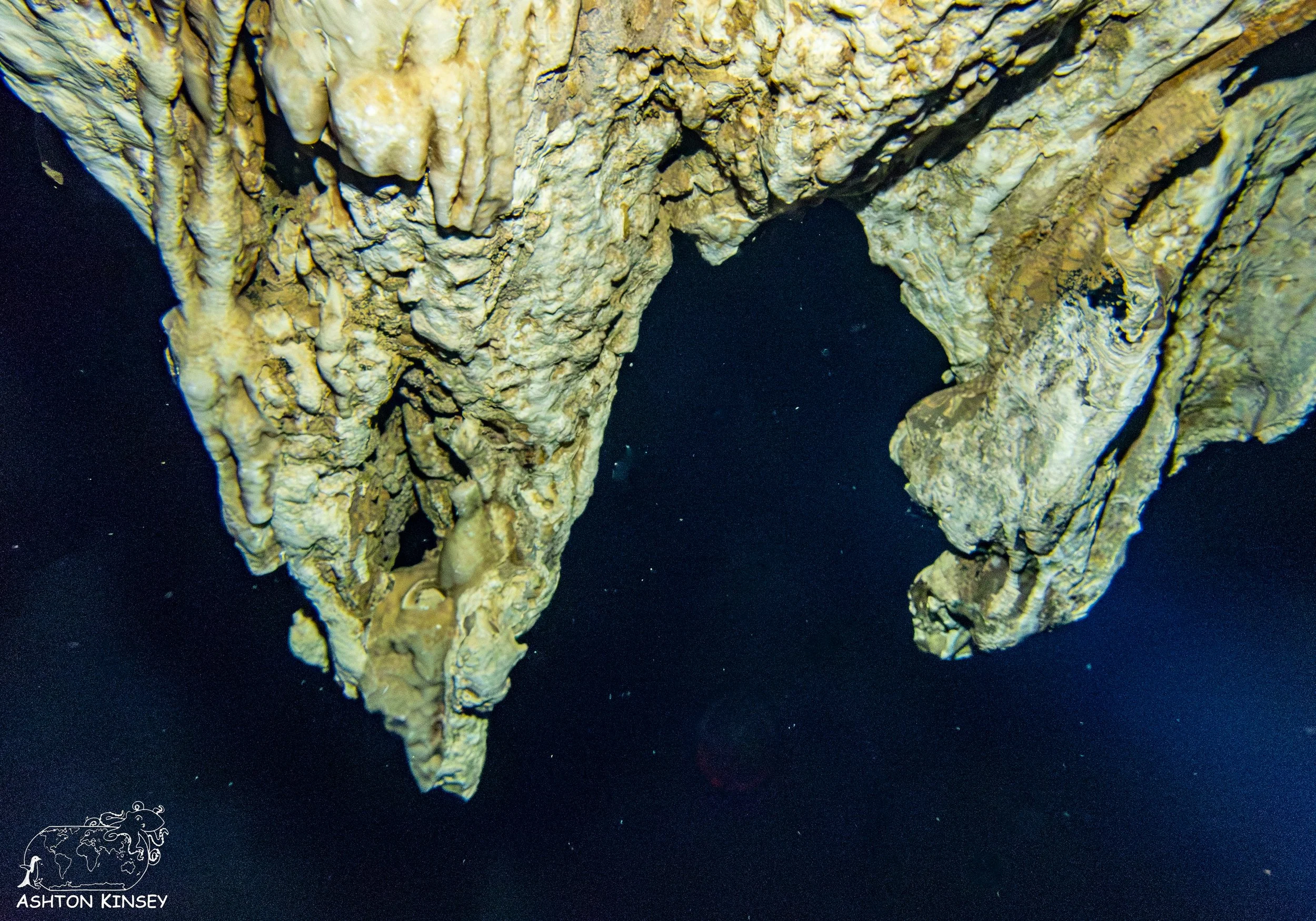 Chandelier Cave-11.jpg