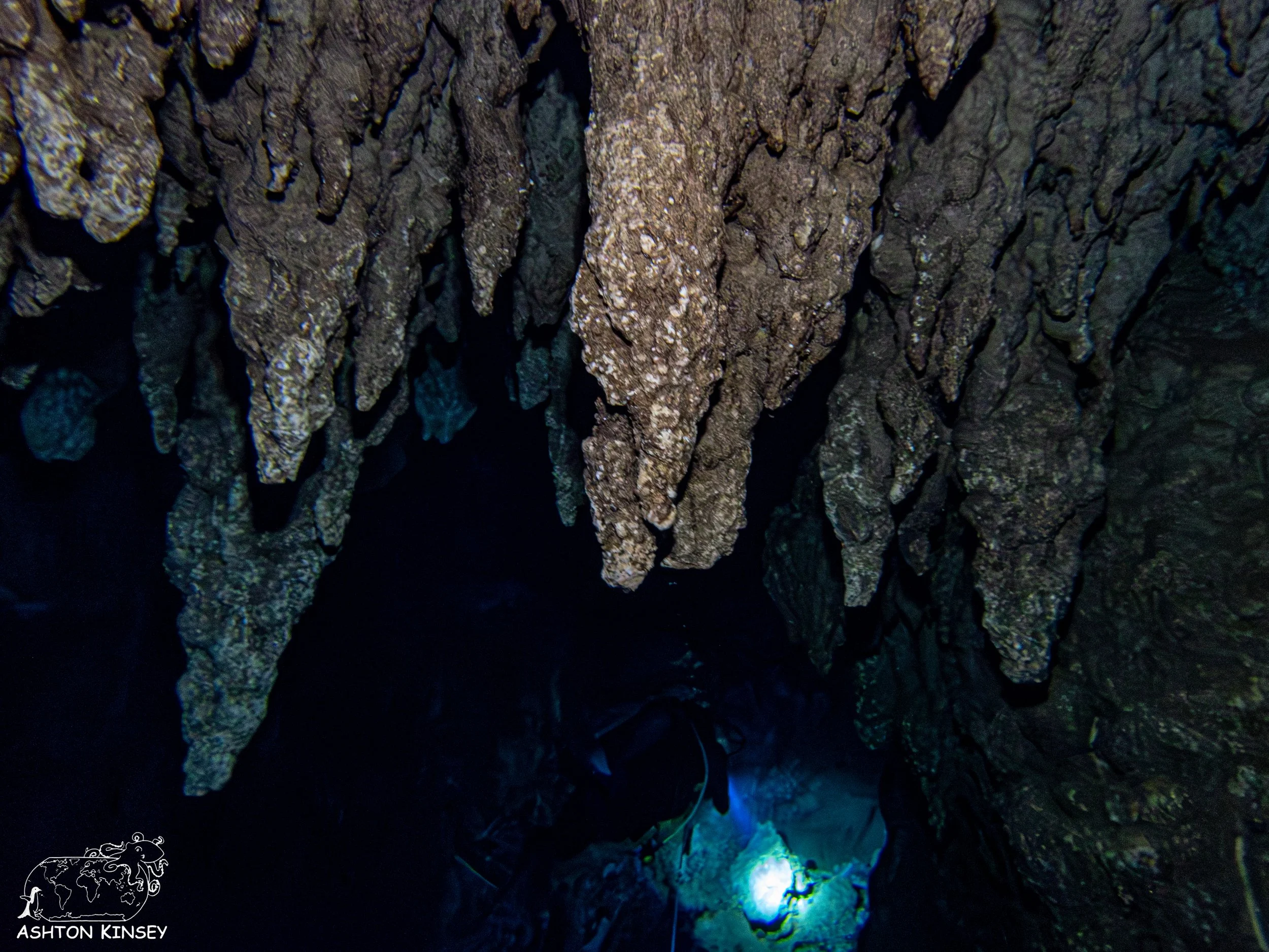 Chandelier Cave-17.jpg