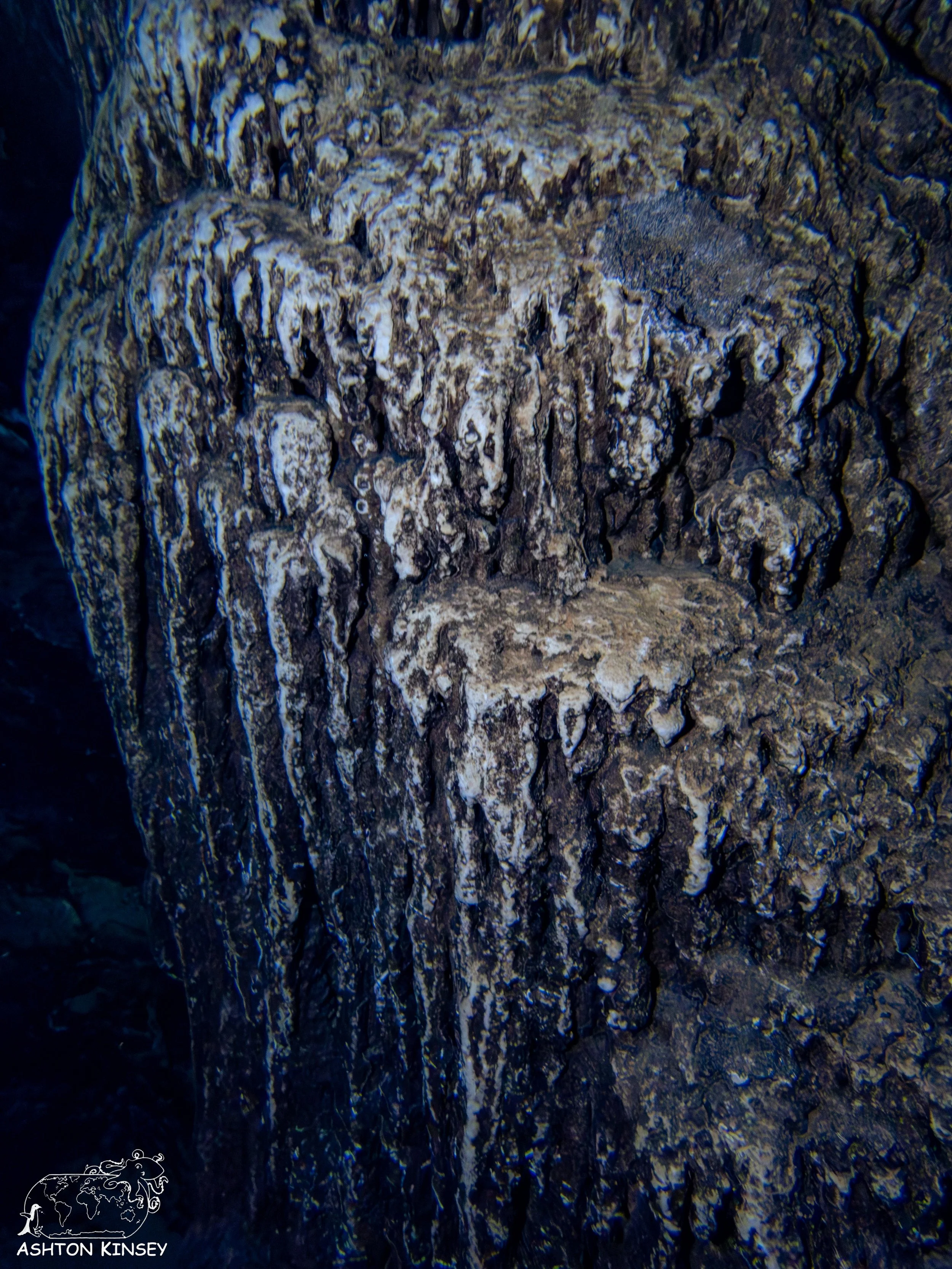 Chandelier Cave-20.jpg