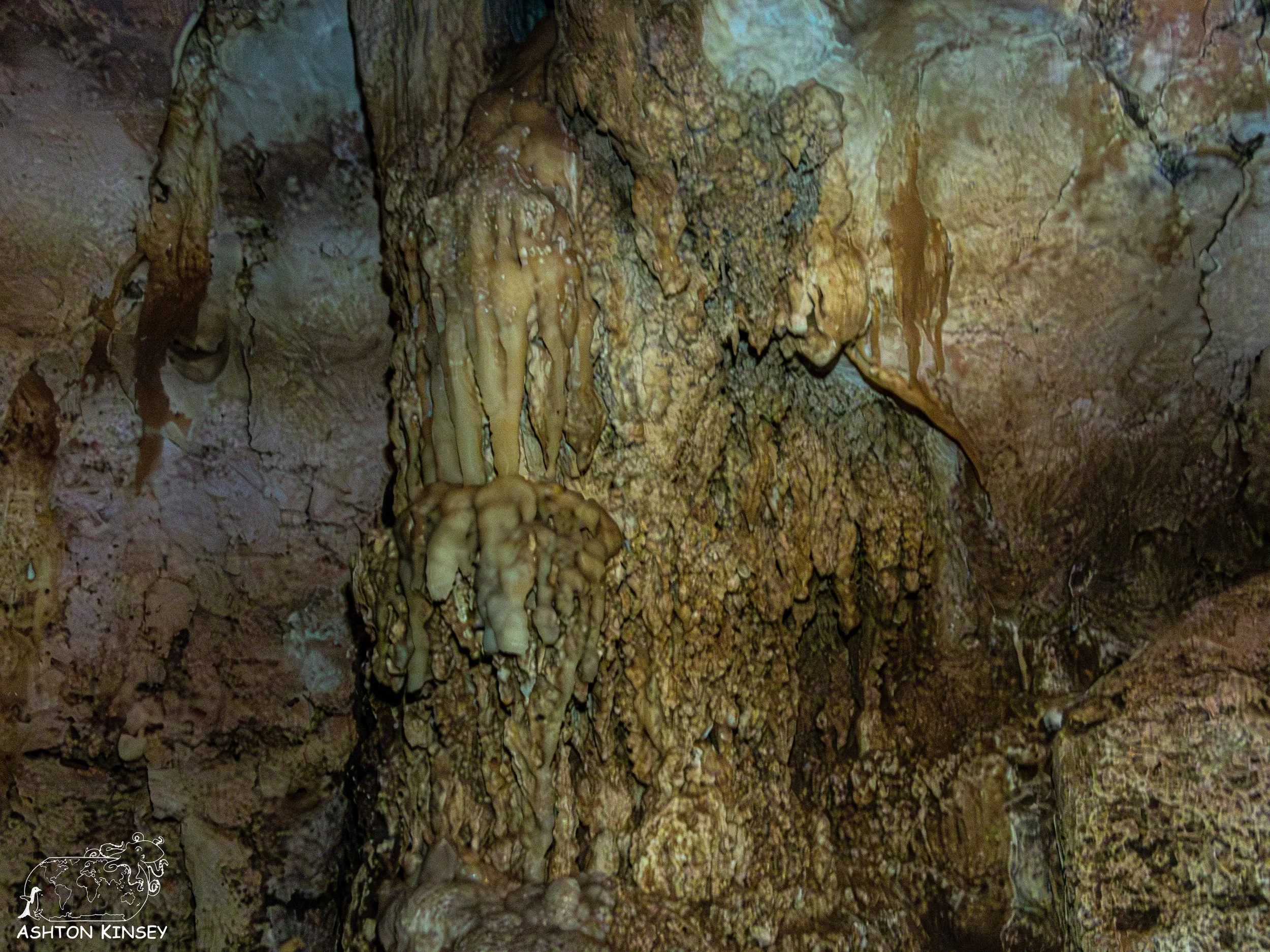 Chandelier Cave-21.jpg