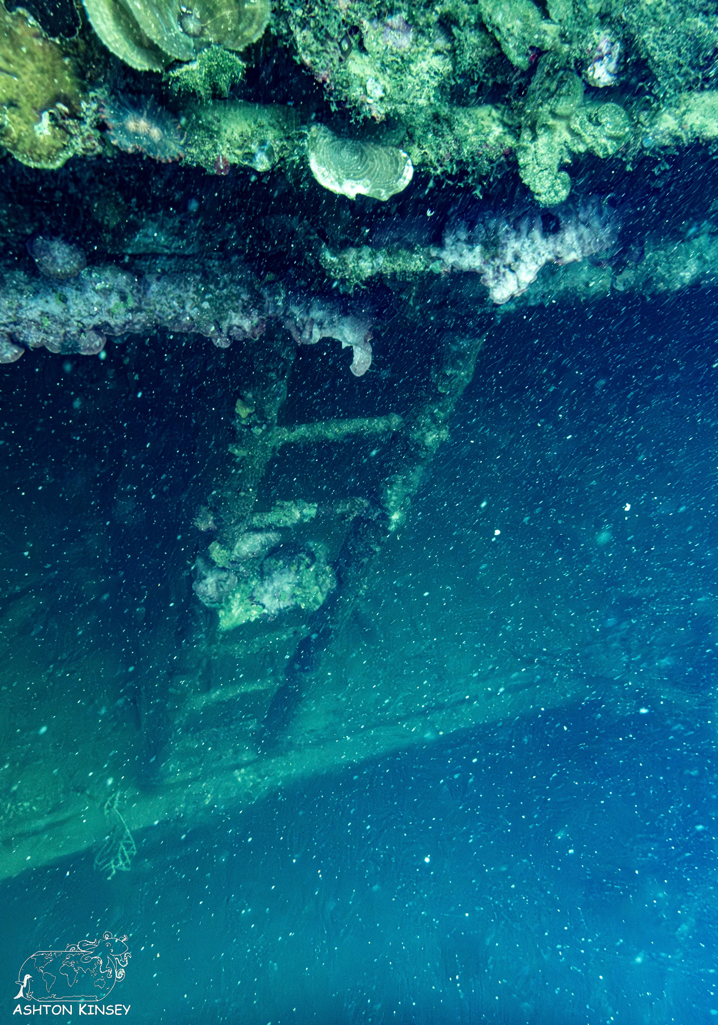 Iro Wreck-10.jpg