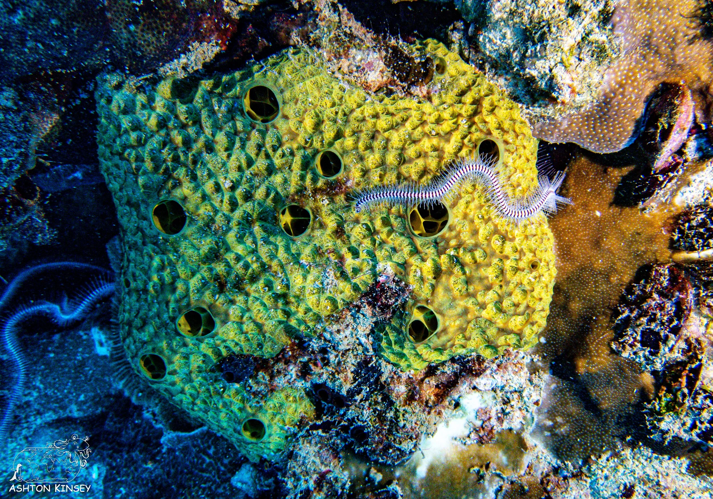 Iro Wreck-13.jpg