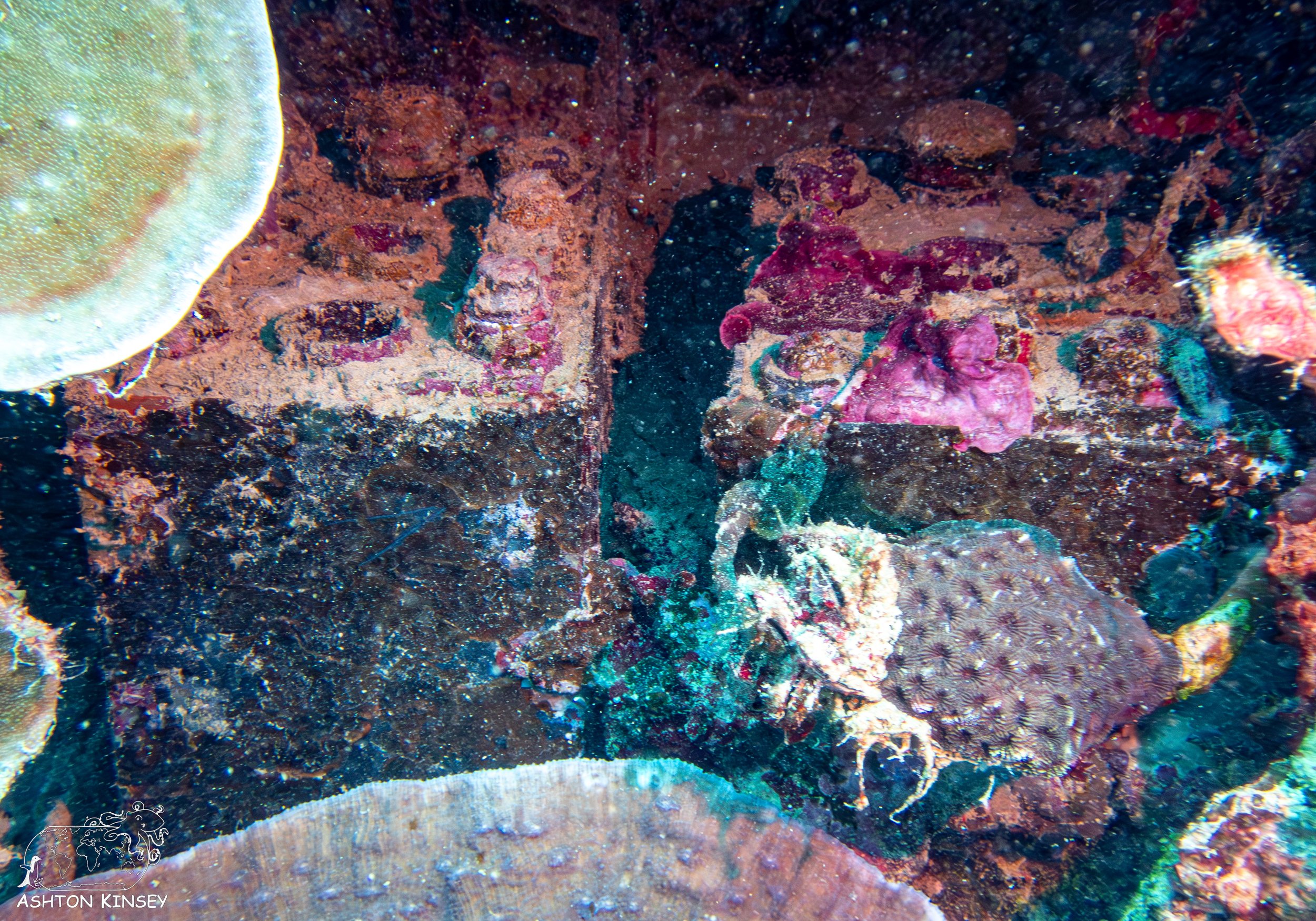 Iro Wreck-15.jpg