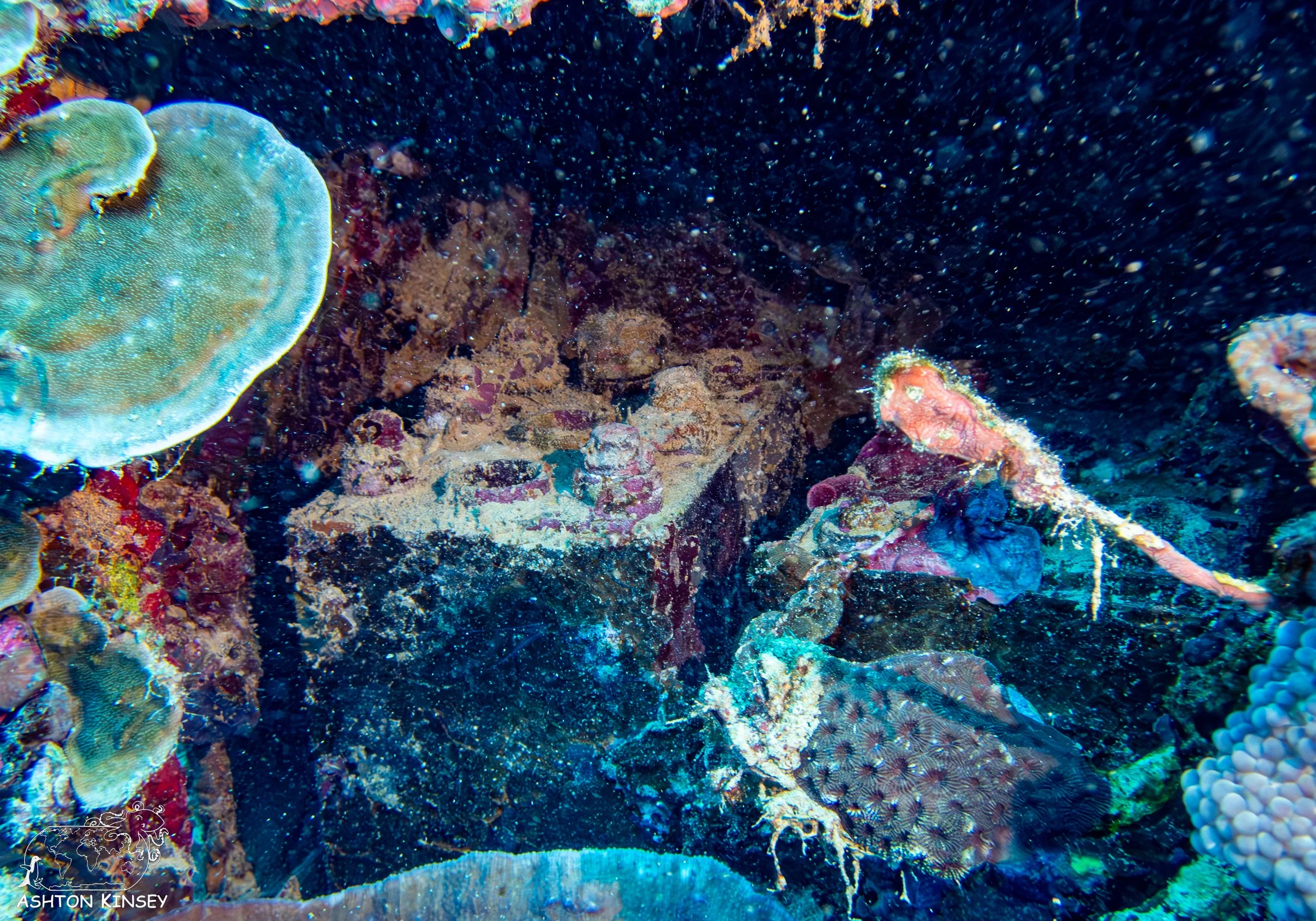 Iro Wreck-16.jpg