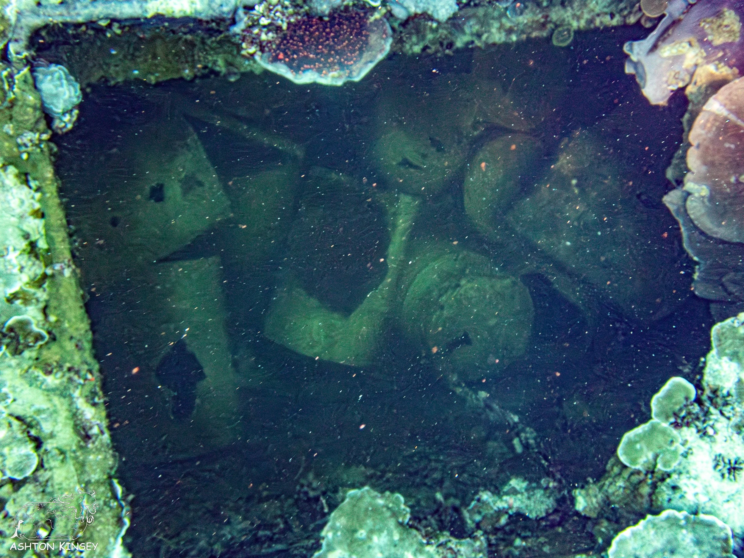 Iro Wreck-17.jpg