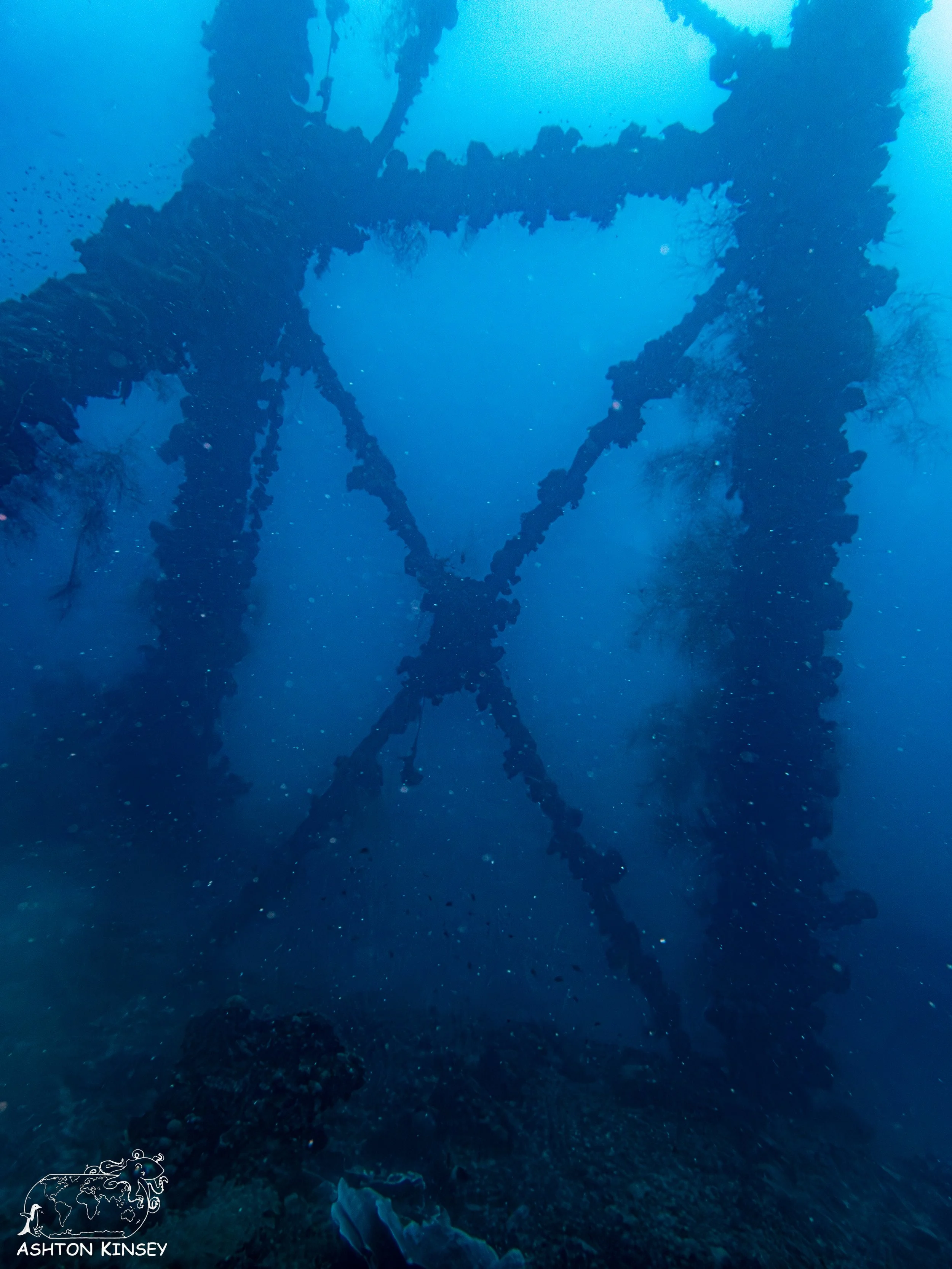 Iro Wreck-19.jpg