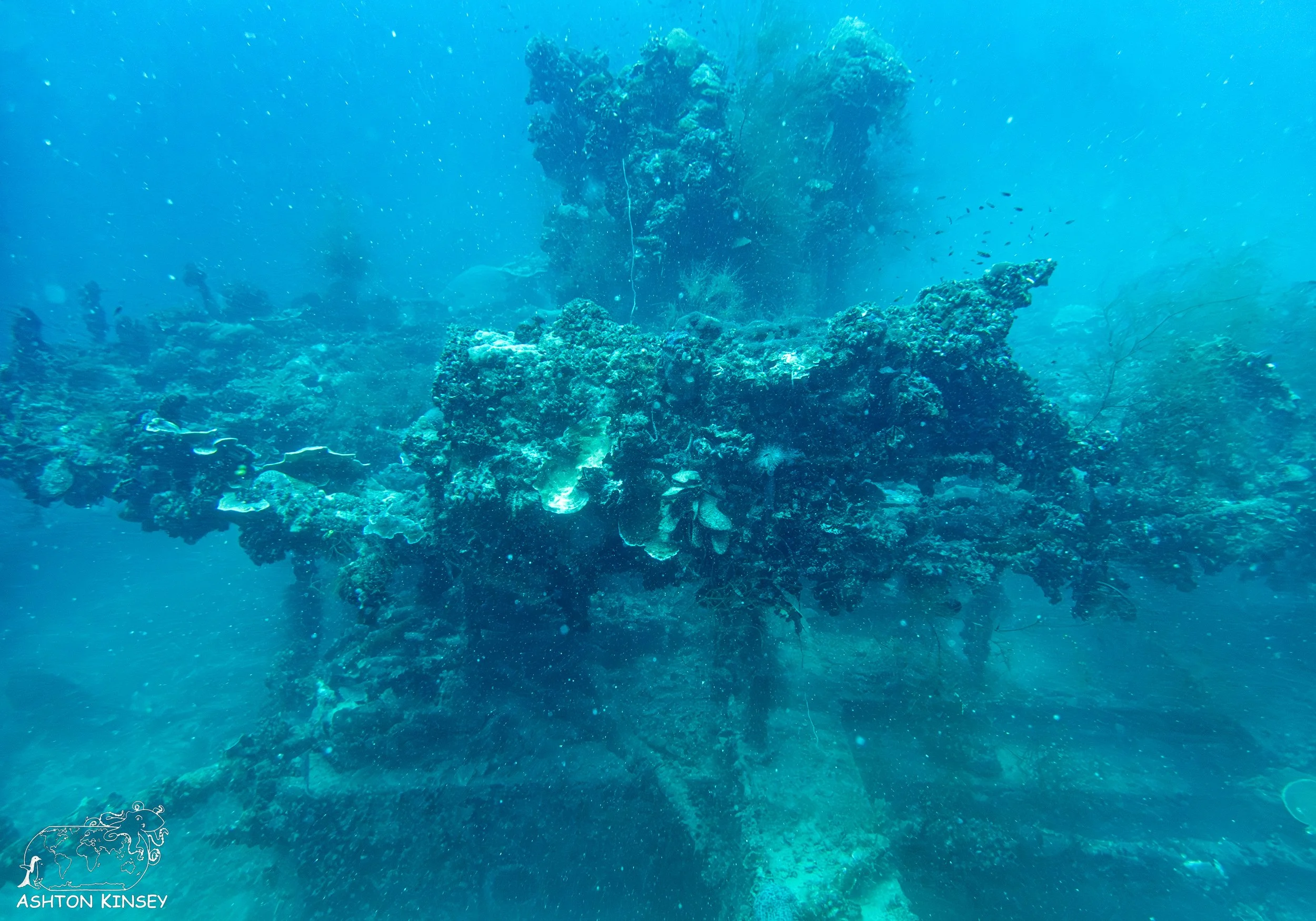 Iro Wreck-27.jpg