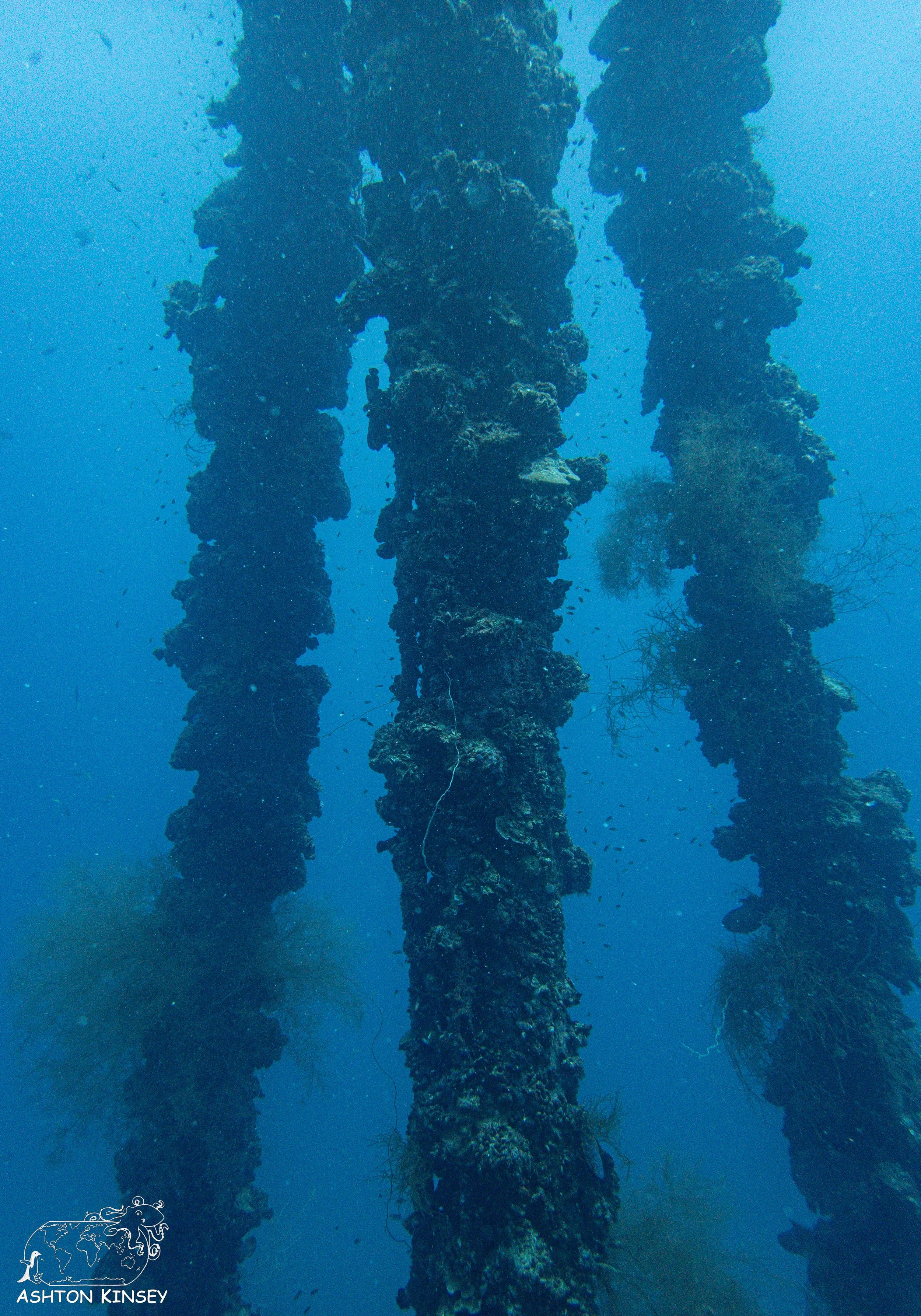 Iro Wreck-31.jpg