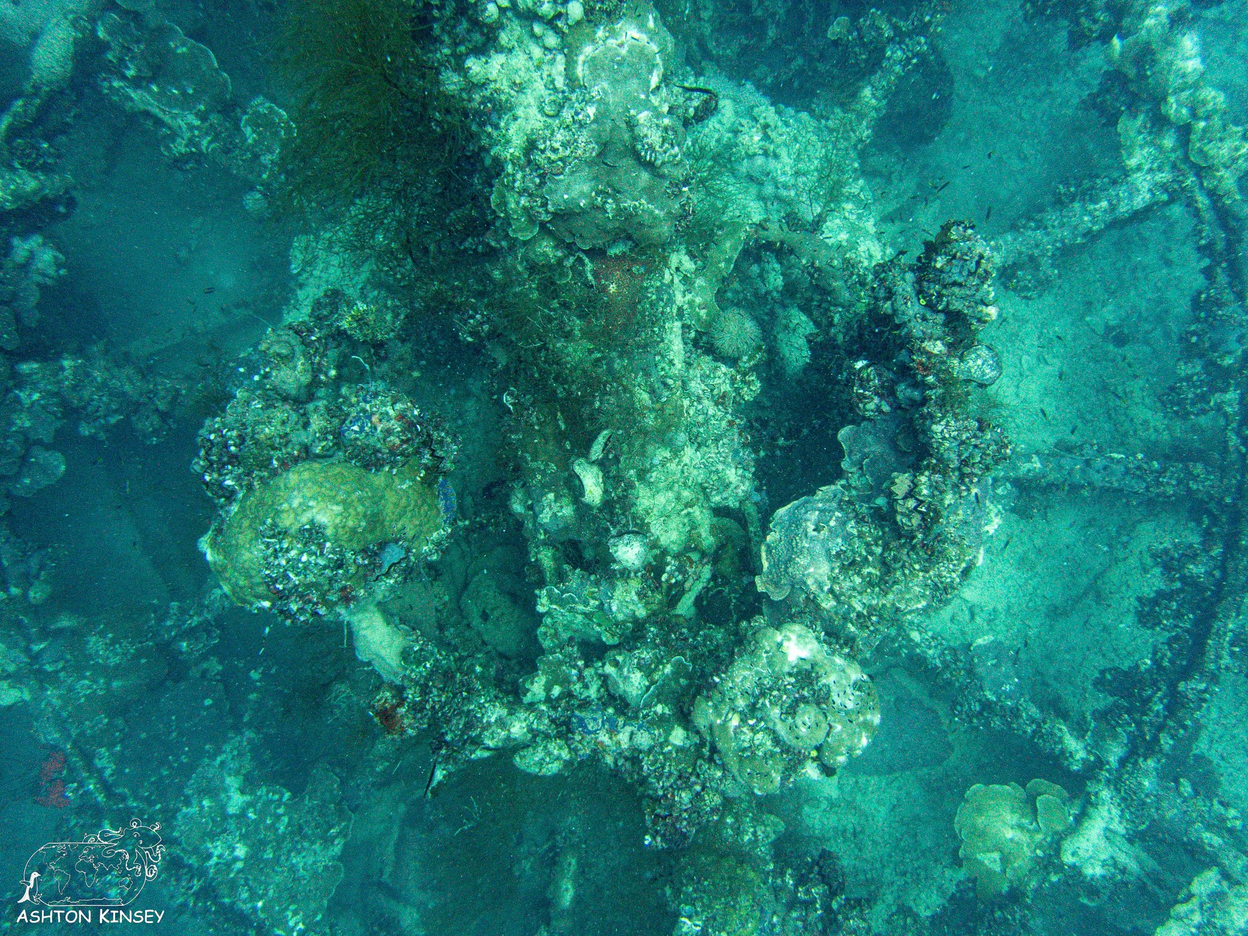 Iro Wreck-30.jpg