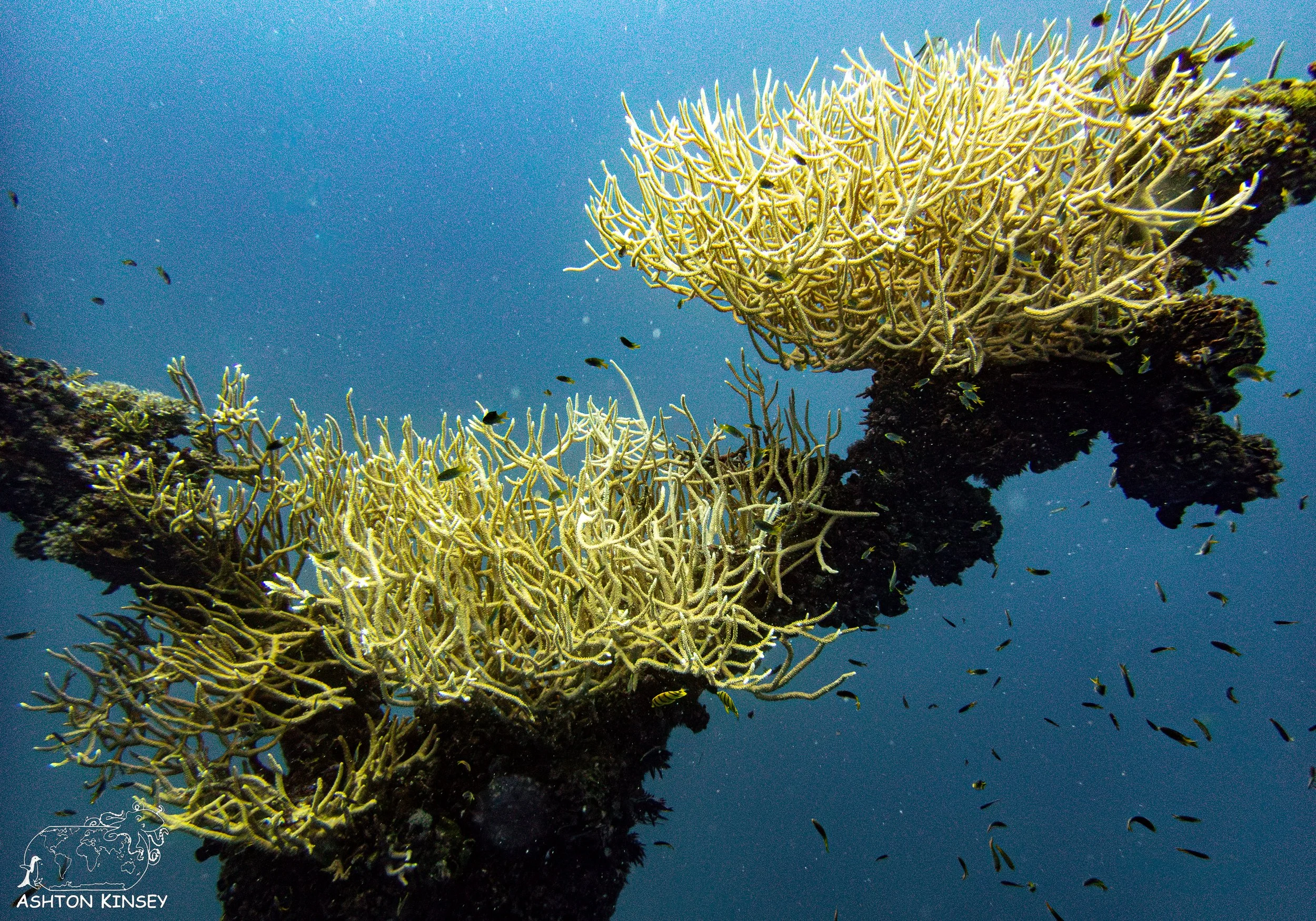 Iro Wreck-33.jpg