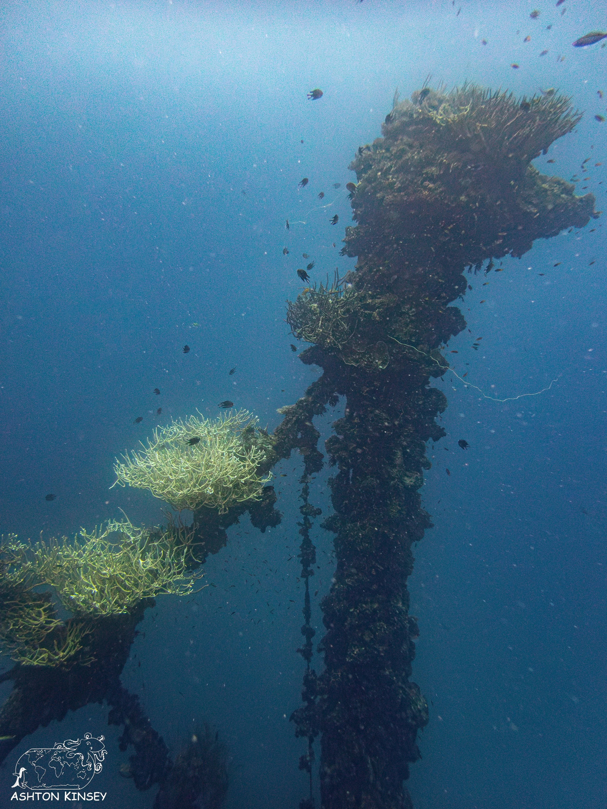 Iro Wreck-38.jpg