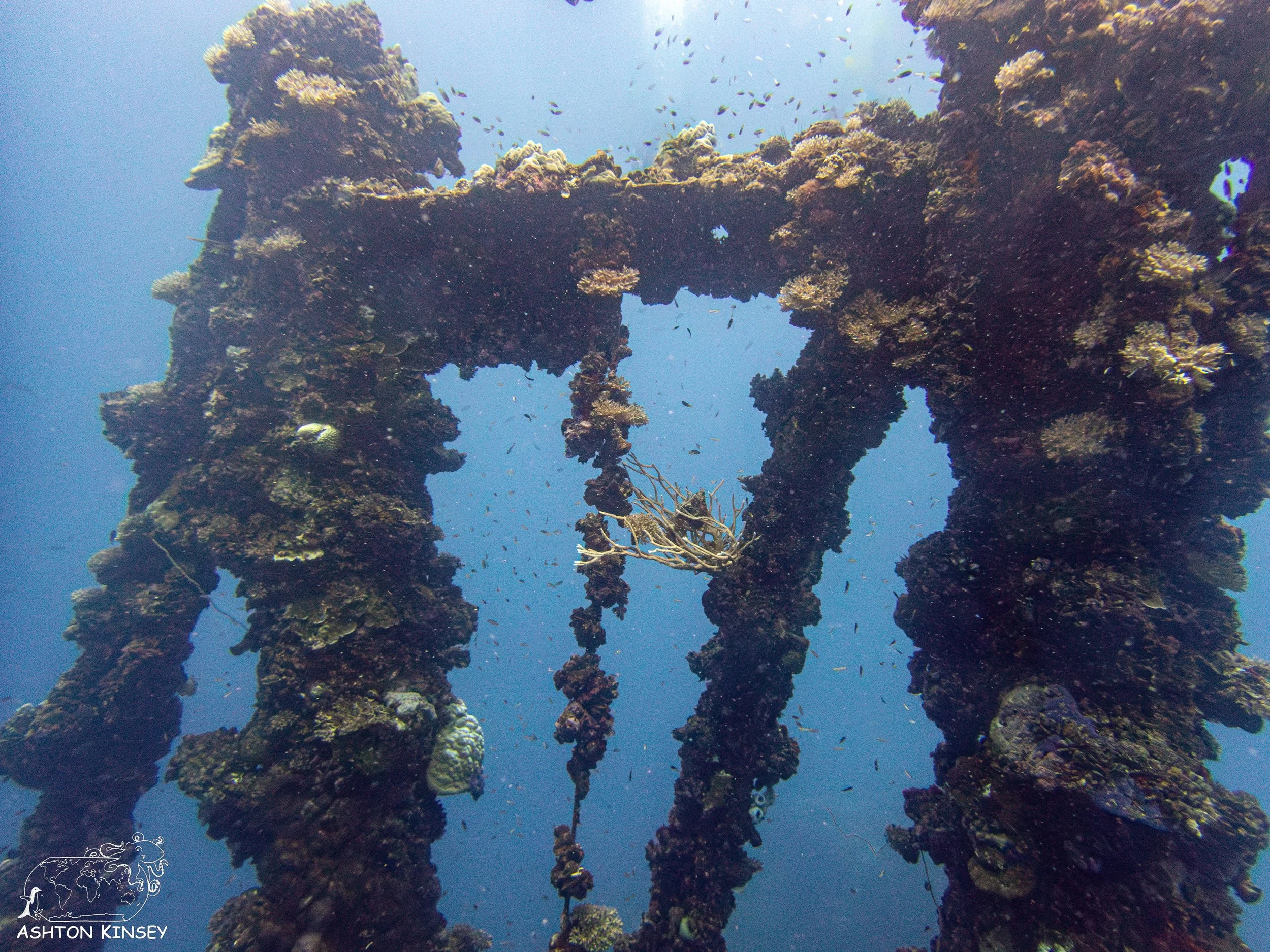 Iro Wreck-39.jpg