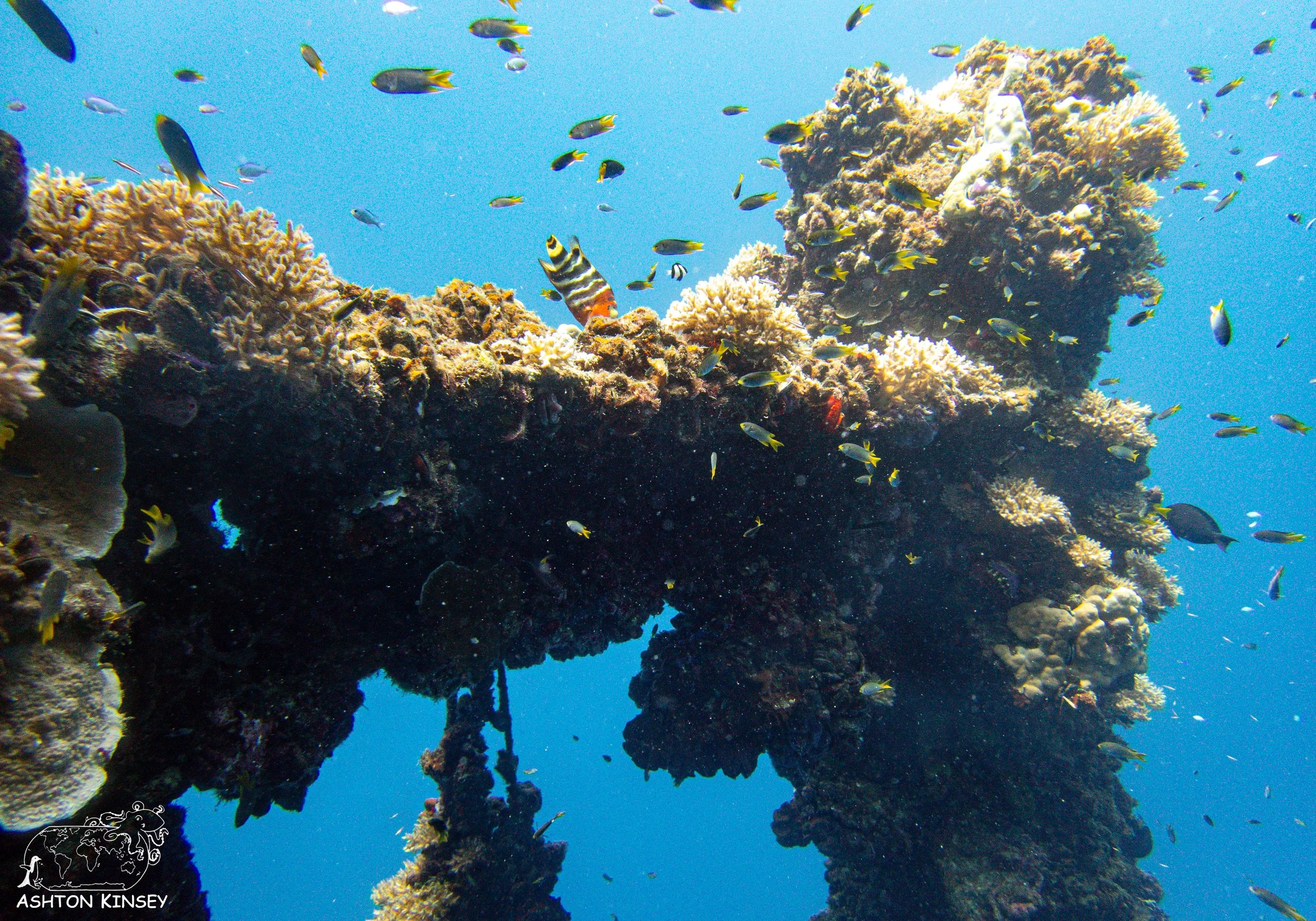 Iro Wreck-40.jpg