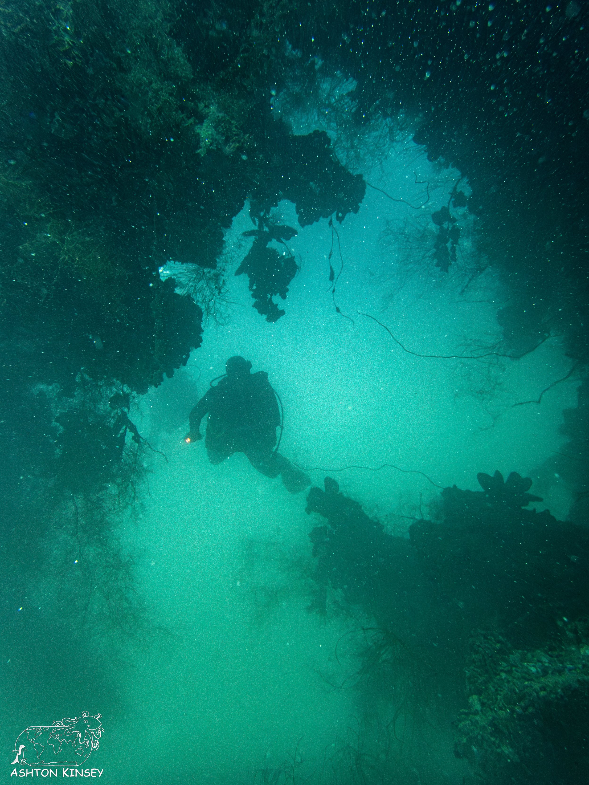 Iro Wreck-3.jpg