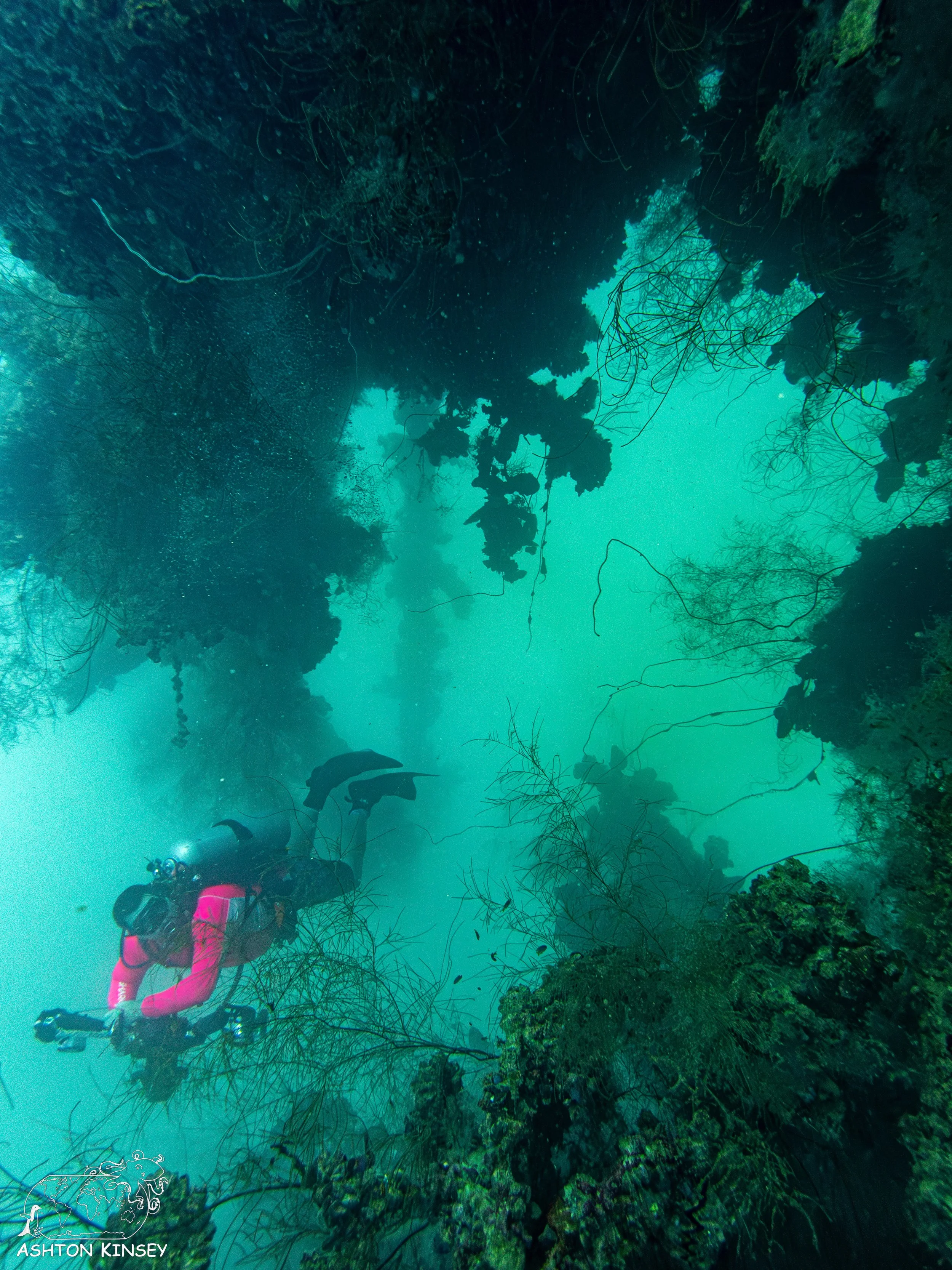 Iro Wreck-4.jpg