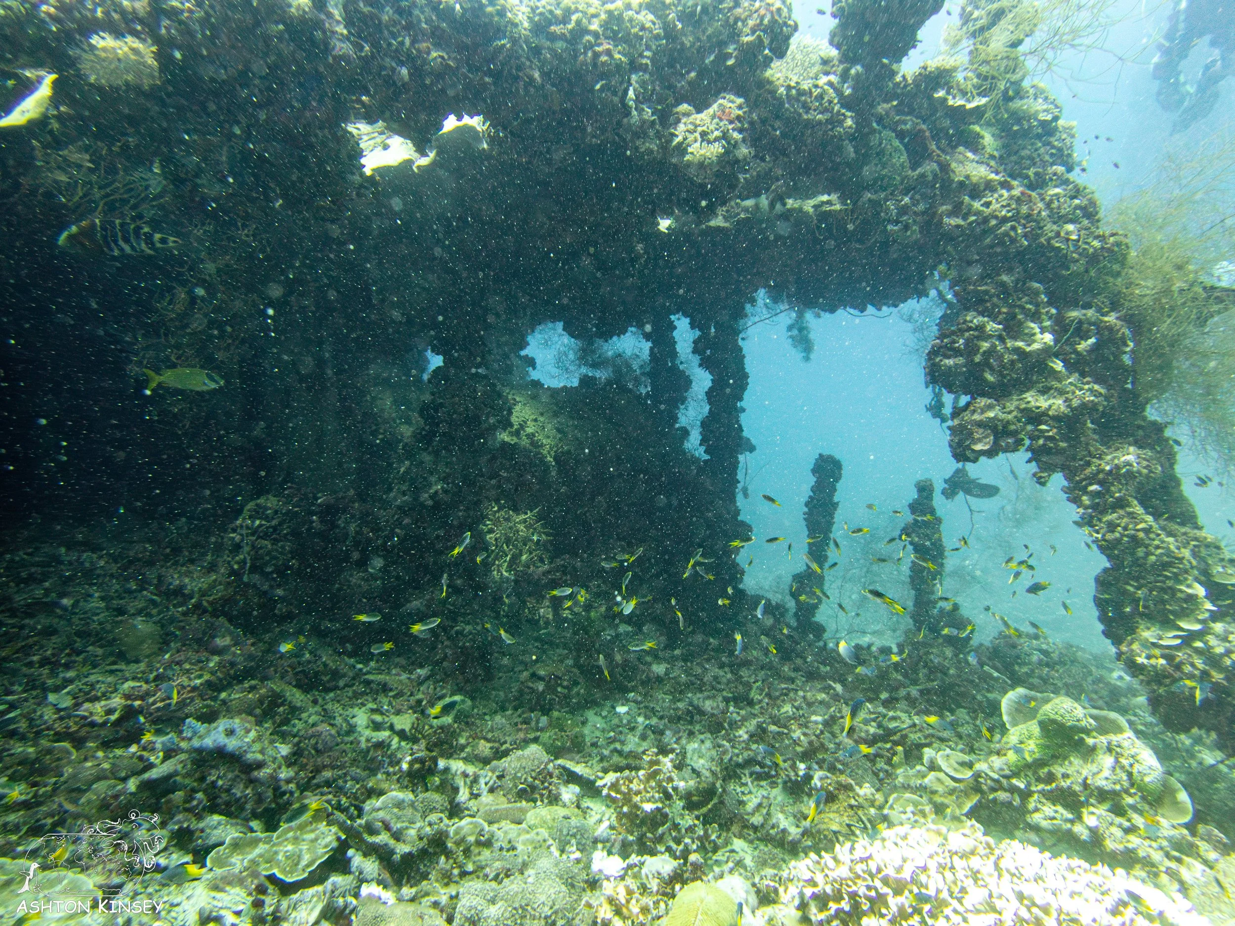 Iro Wreck-5.jpg