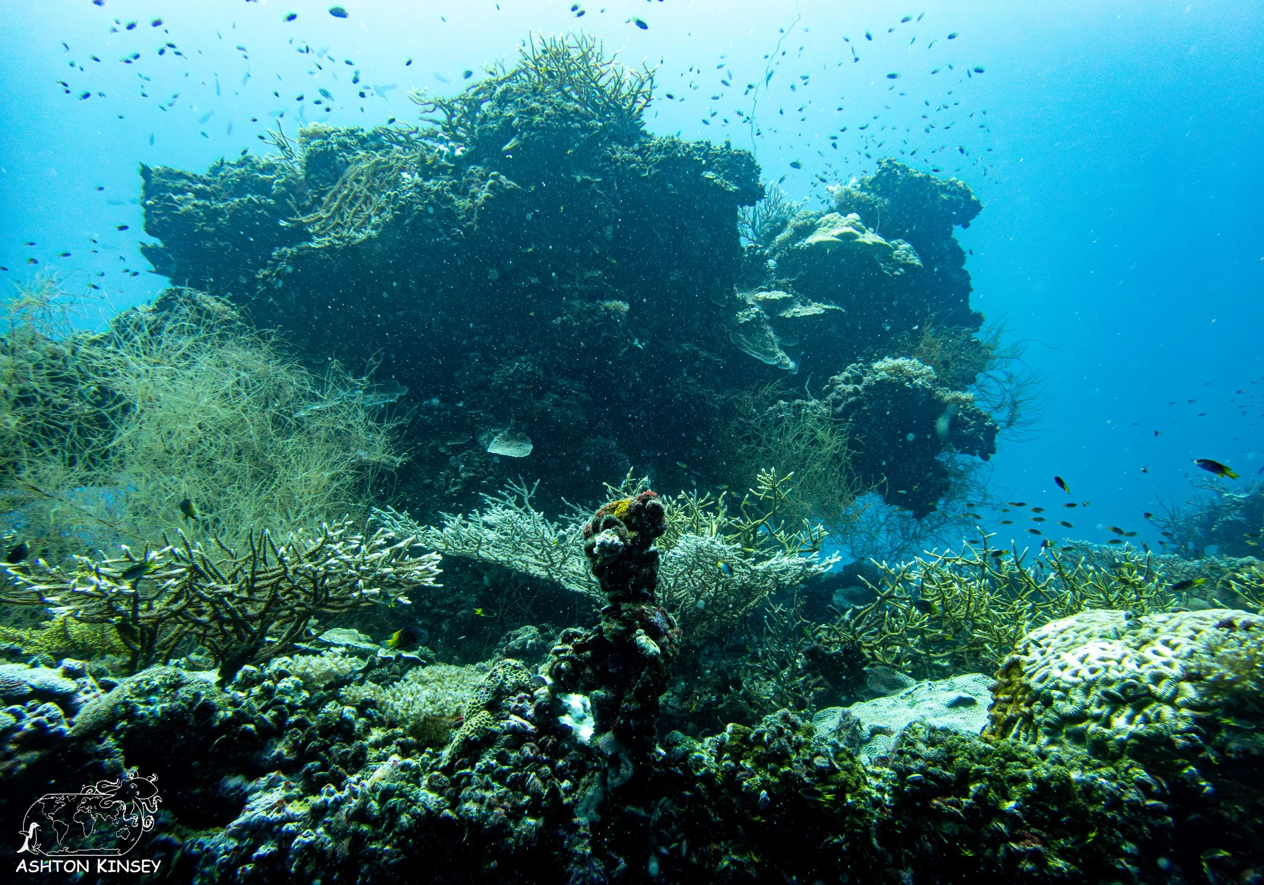 Iro Wreck-6.jpg